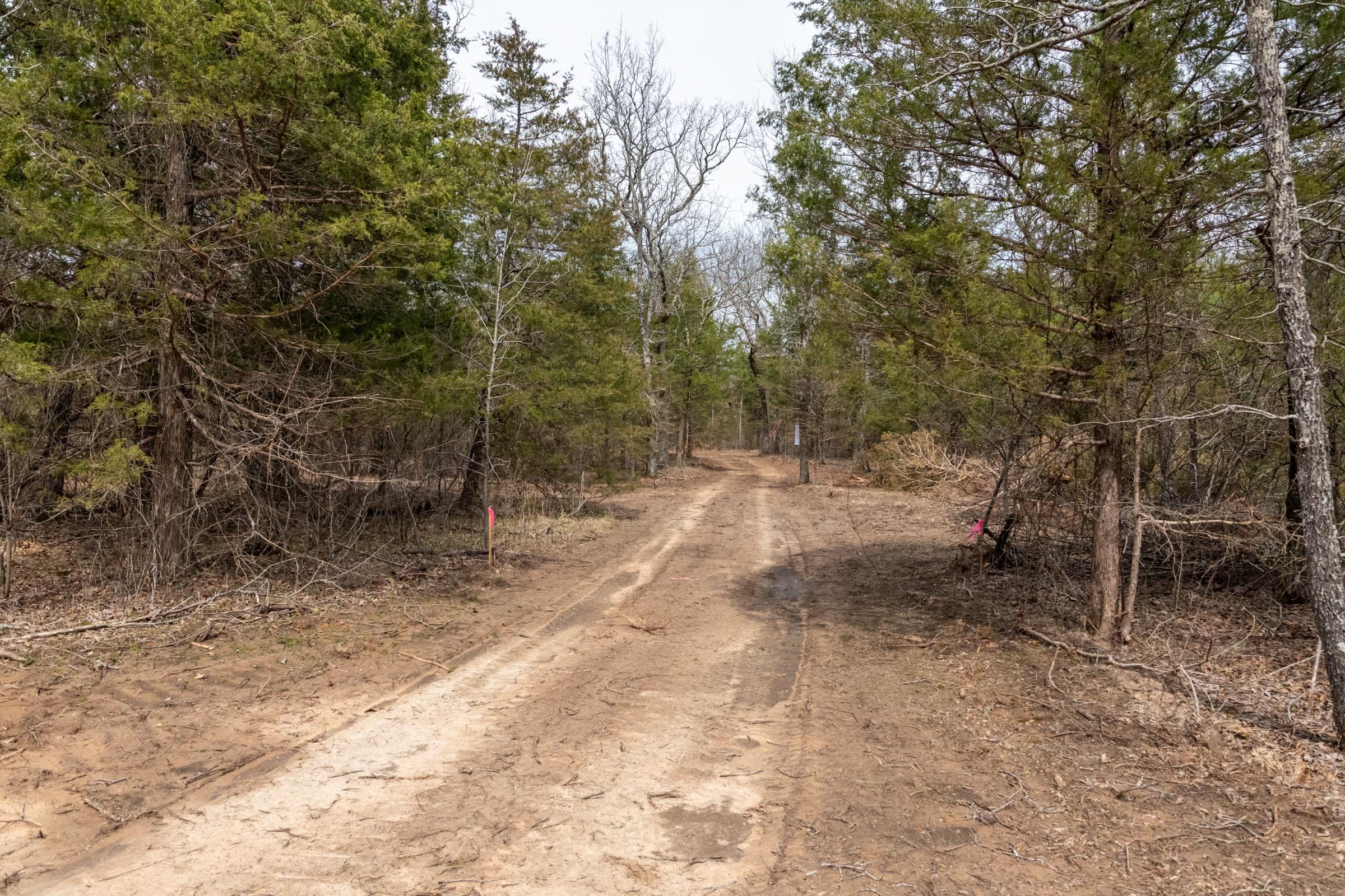 Stone Bridge Phase III Tract 167 photo 5