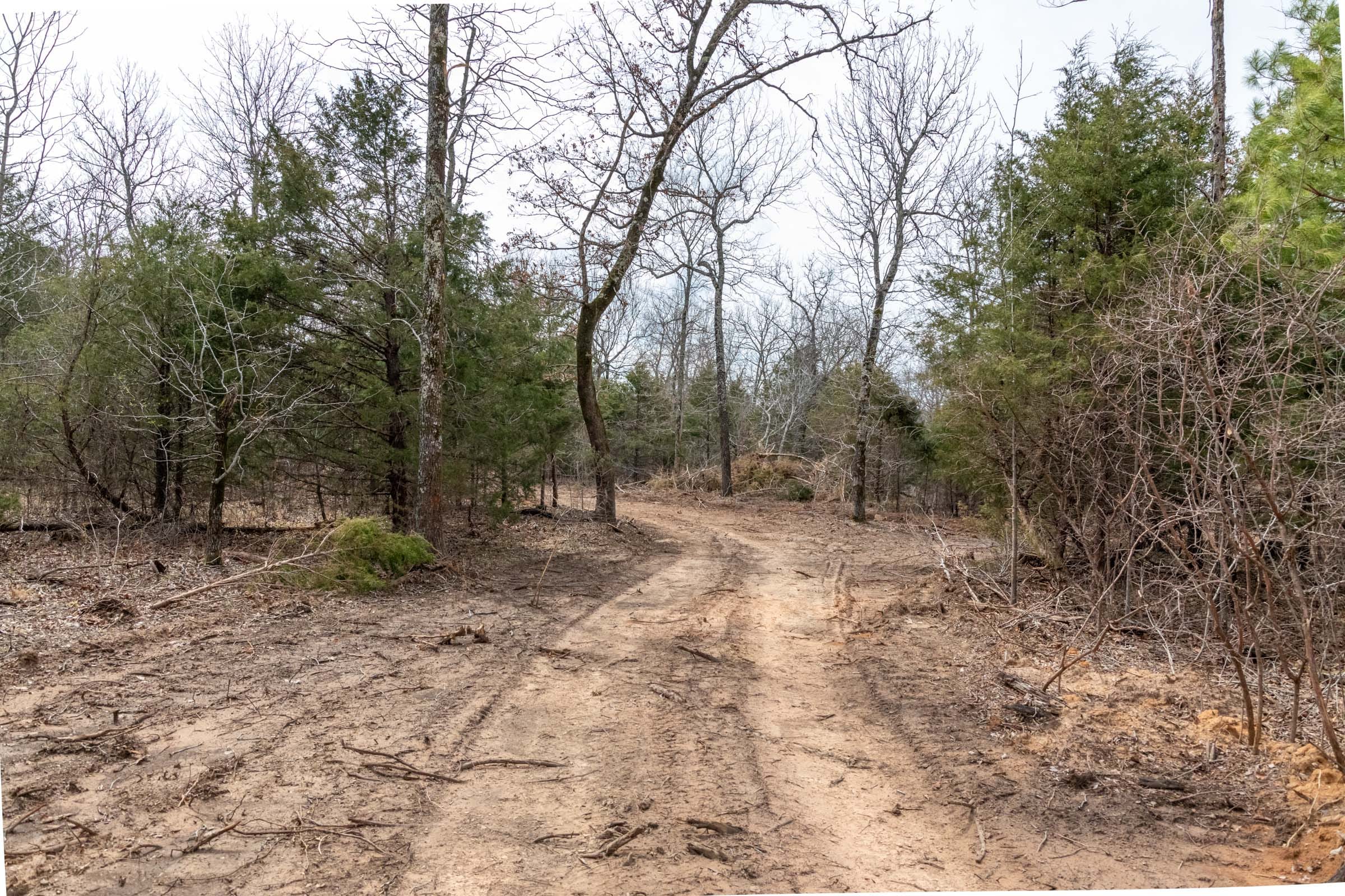 Stone Bridge Phase III Tract 167 photo 2