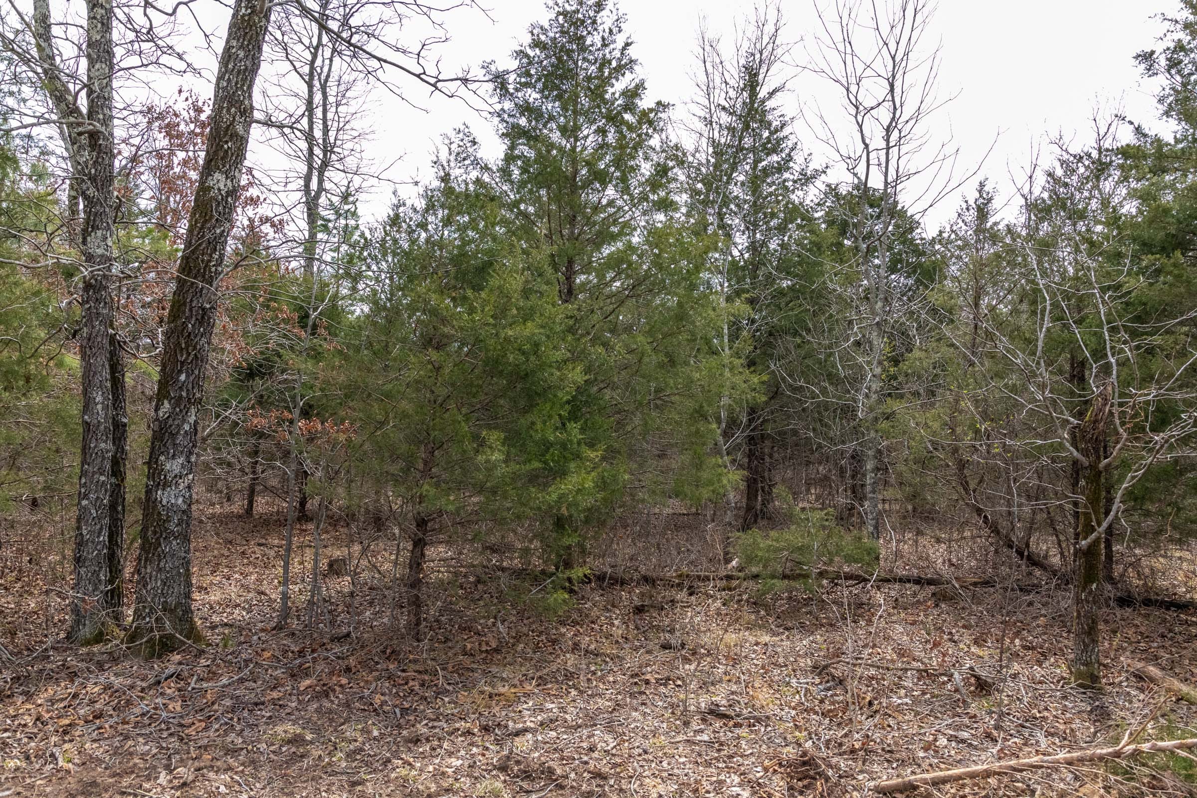 Stone Bridge Phase III Tract 167 photo 4