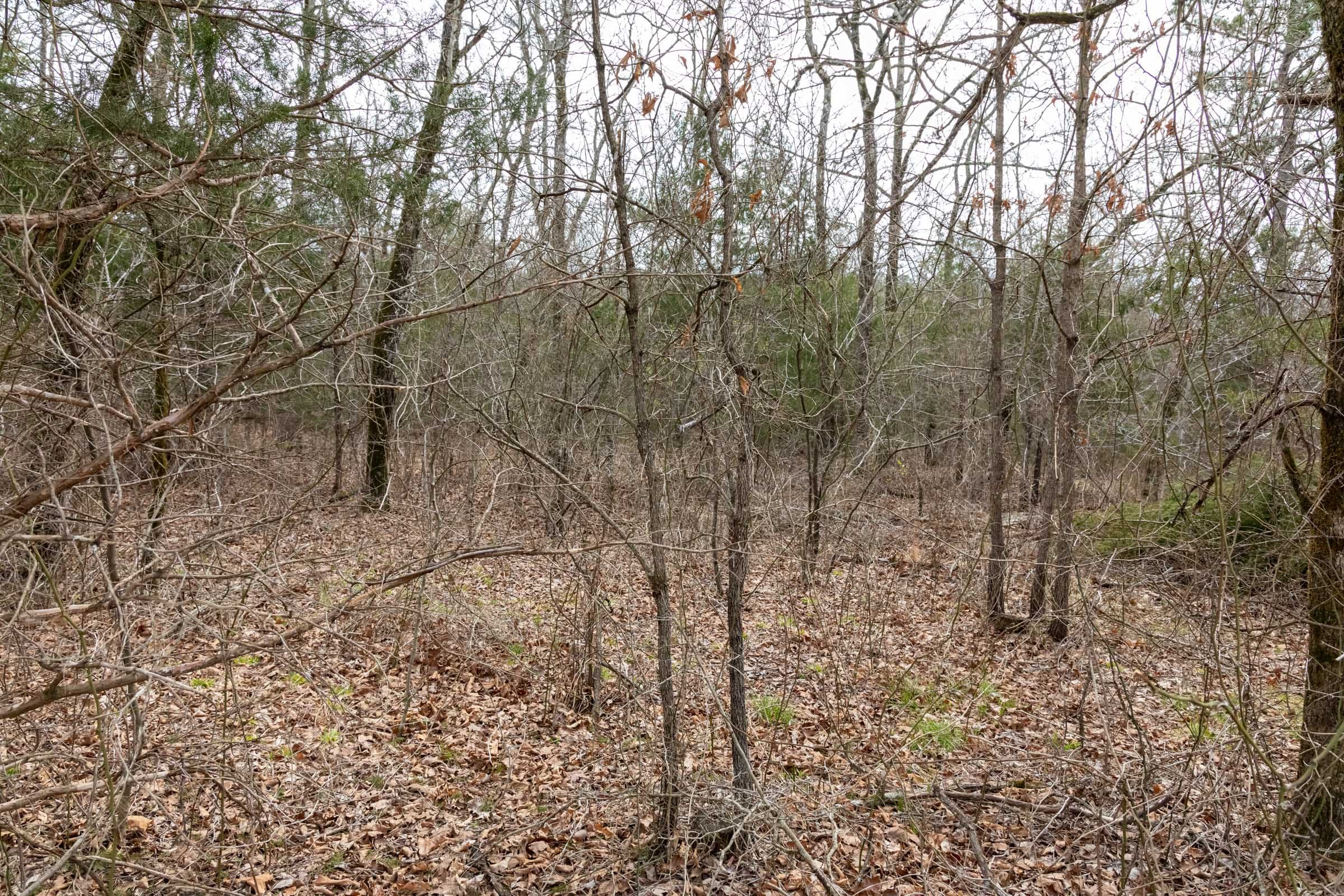 Stone Bridge Phase III Tract 167 photo 11