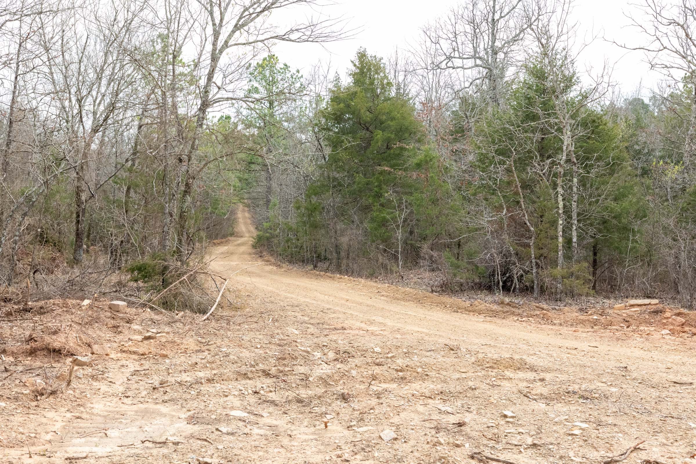 Stone Bridge Phase III Tract 167 photo 10