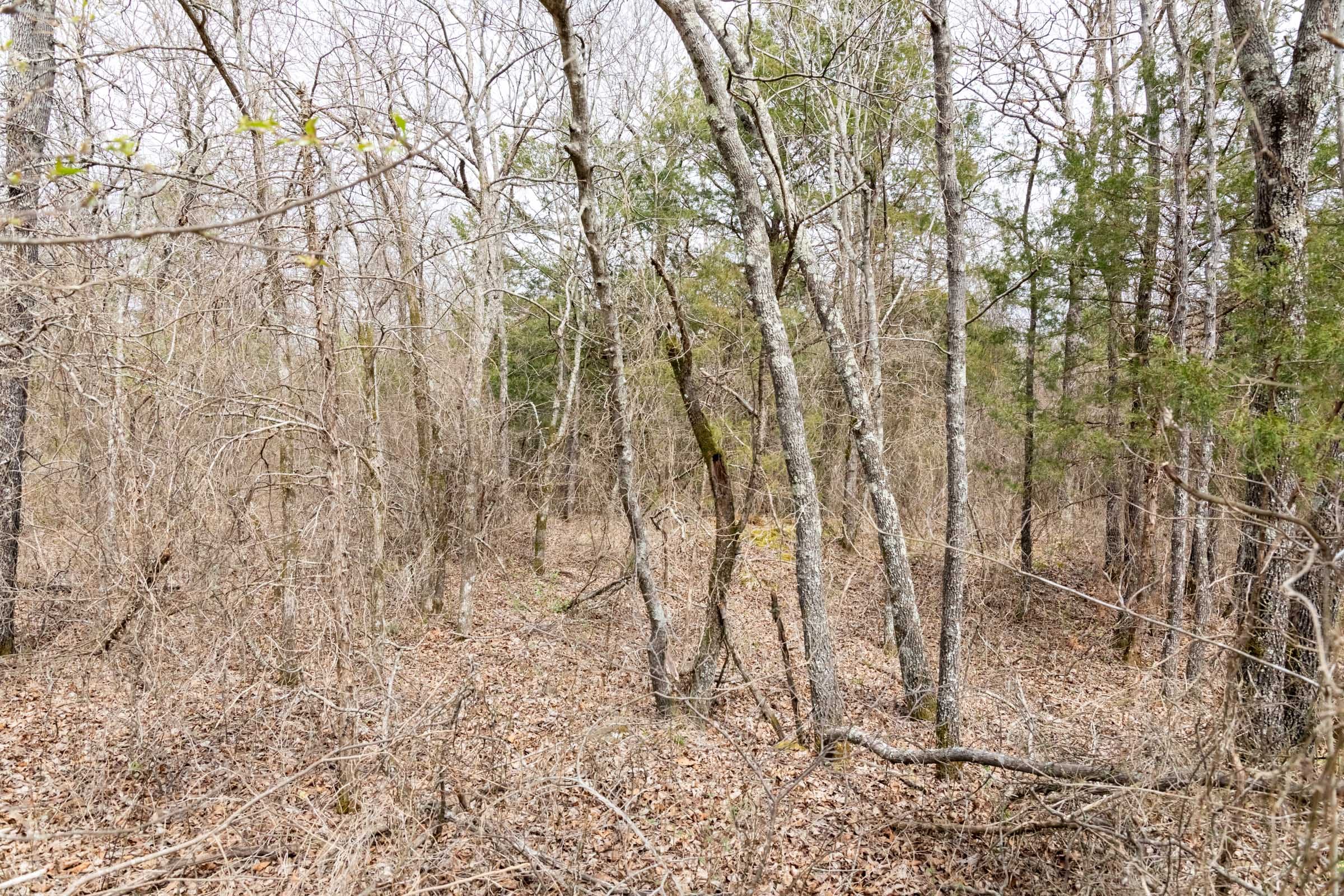 Stone Bridge Phase III Tract 167 photo 13