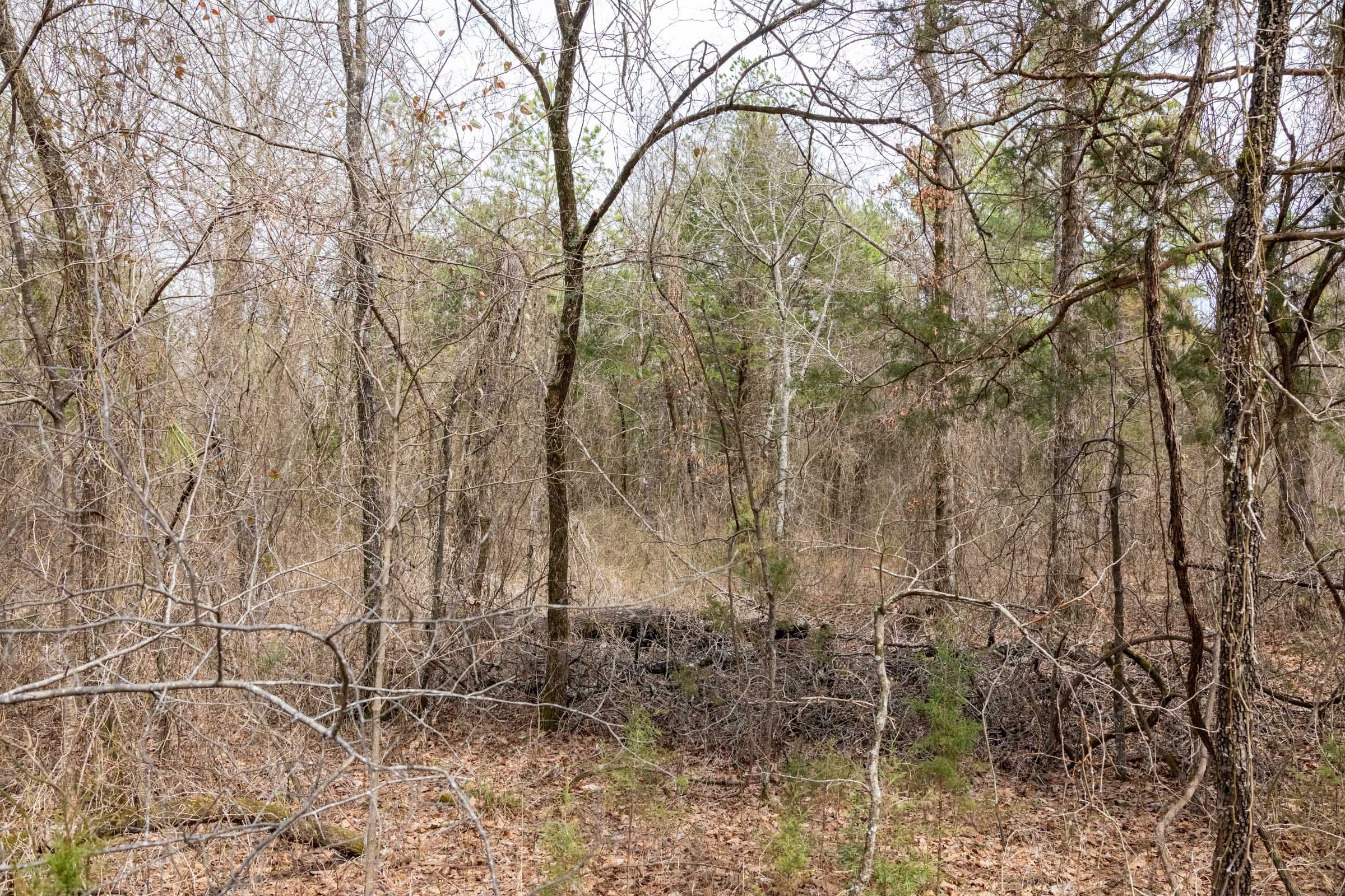 Stone Bridge Phase III Tract 167 photo 15