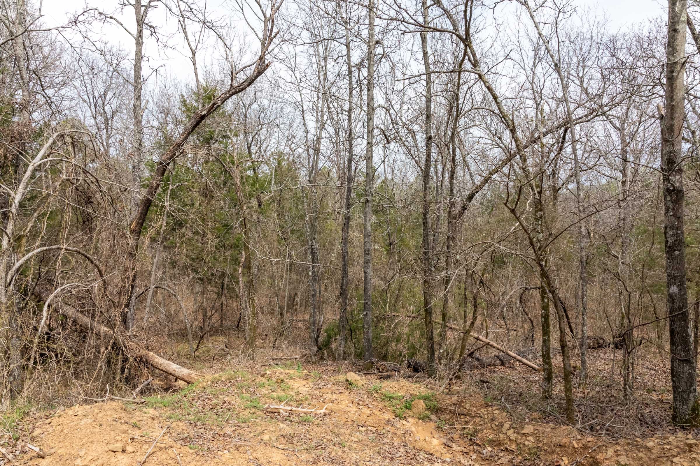 Stone Bridge Phase III Tract 167 photo 16