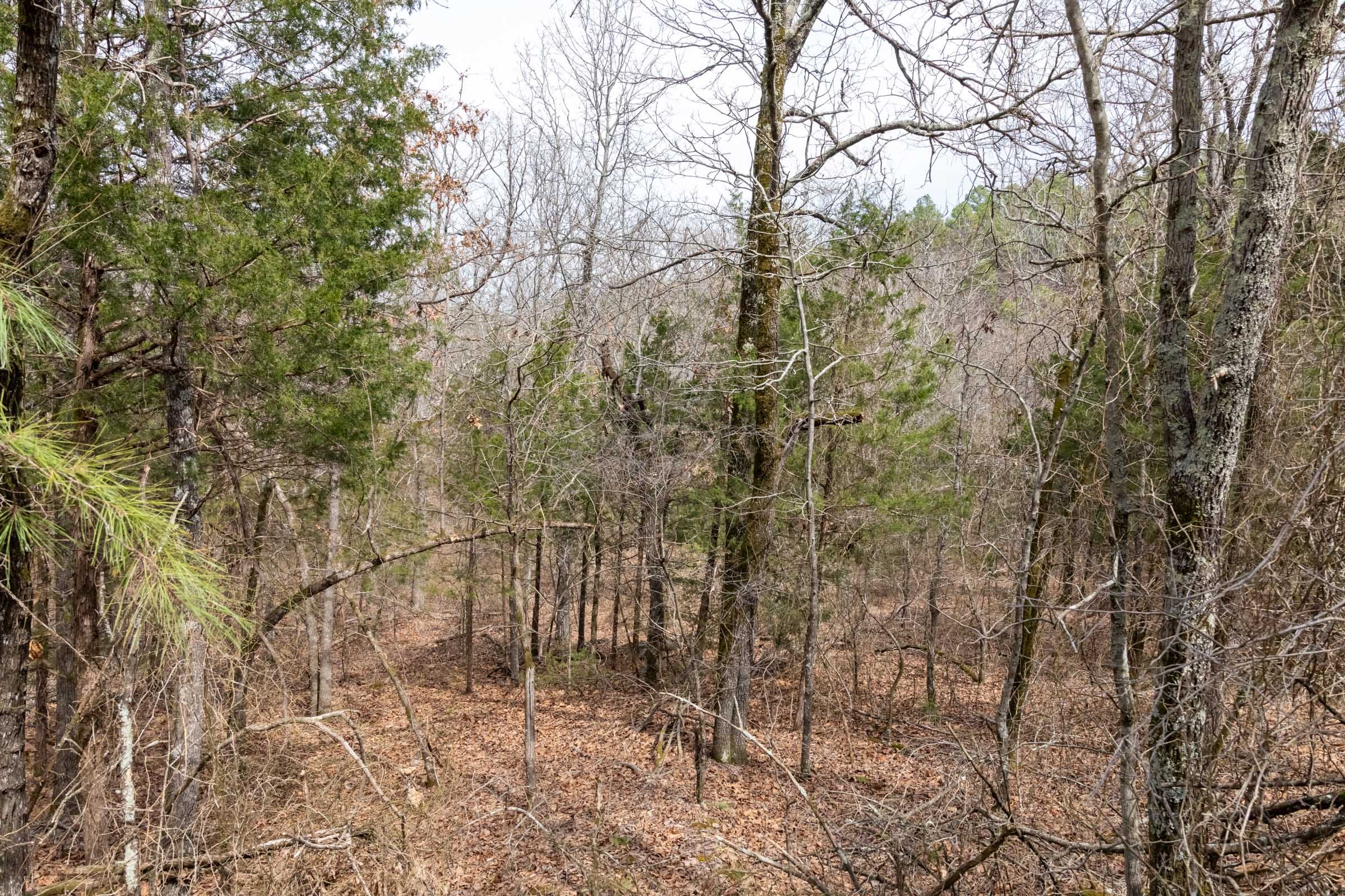 Stone Bridge Phase III Tract 167 photo 17