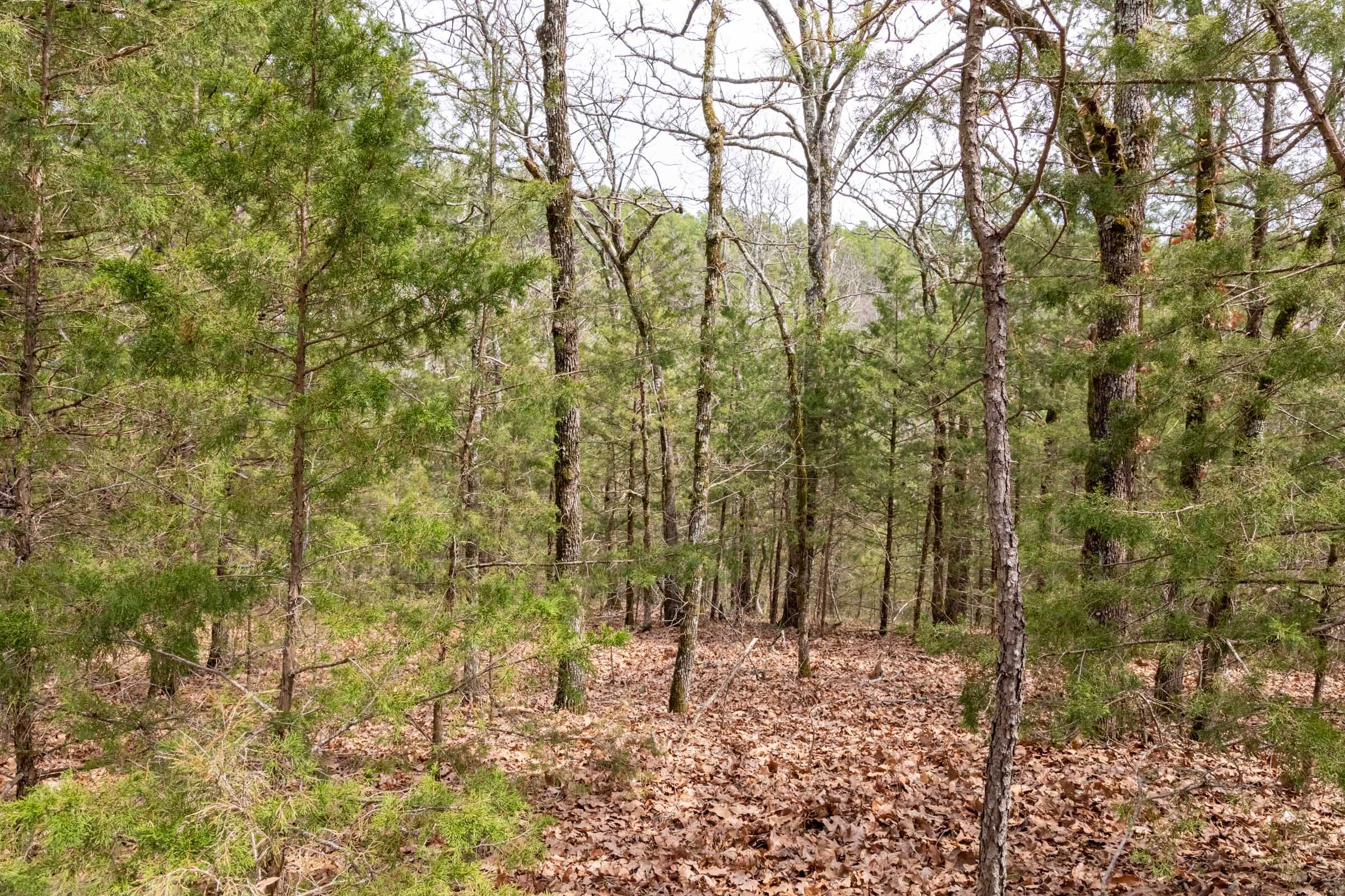 Stone Bridge Phase III Tract 167 photo 18