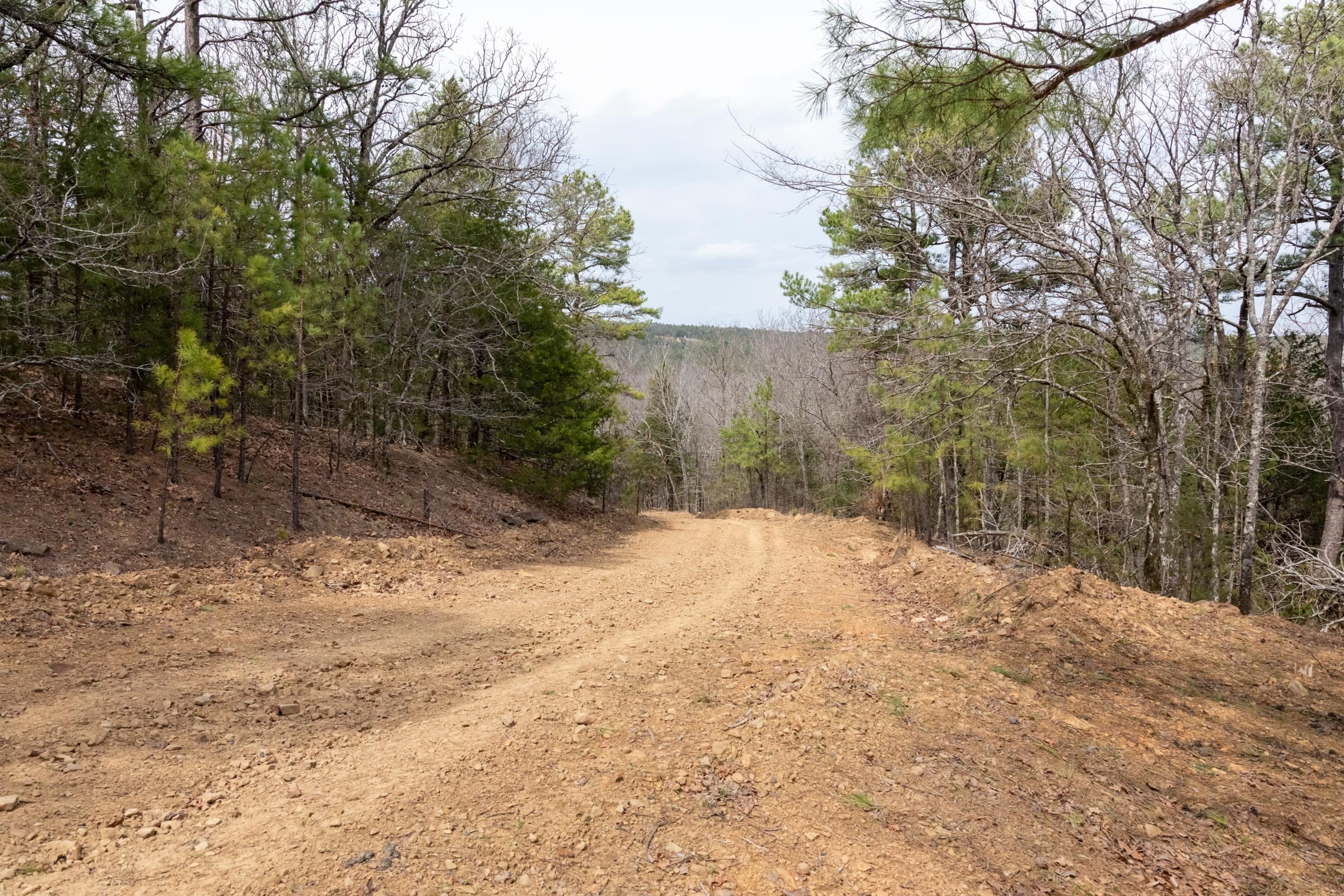 Stone Bridge Phase III Tract 167 photo 8