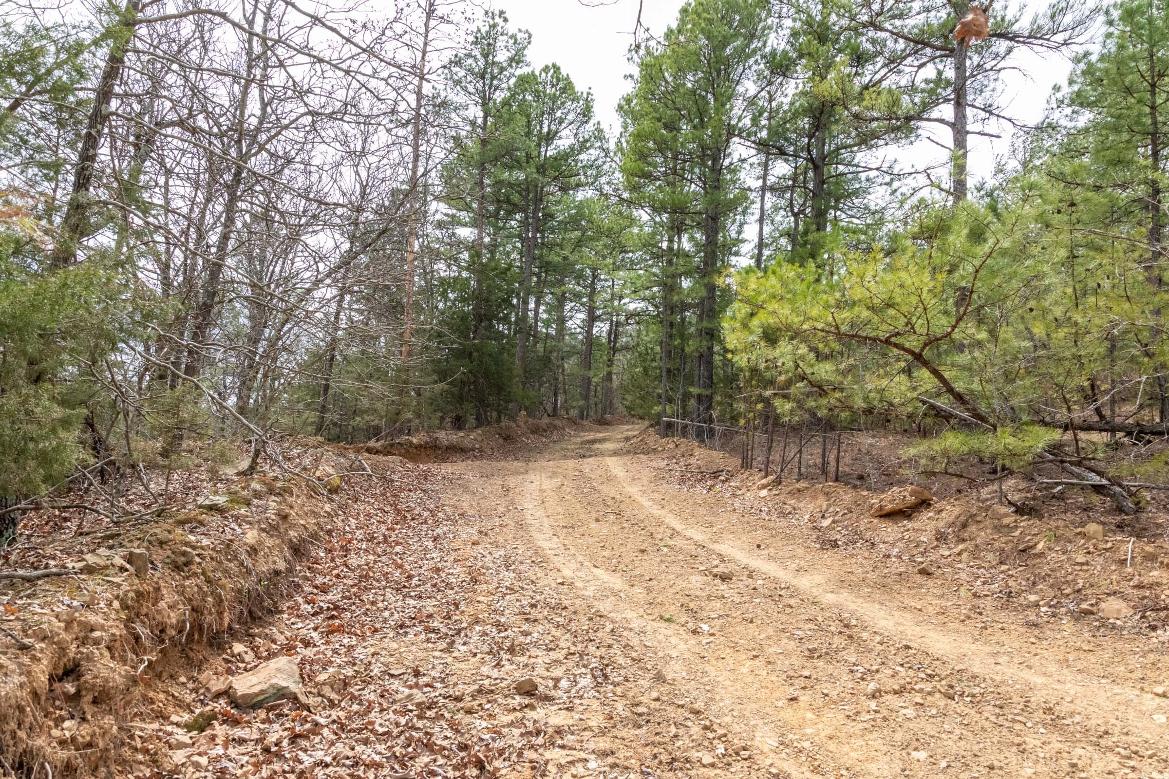 Stone Bridge Phase III Tract 167 photo 12