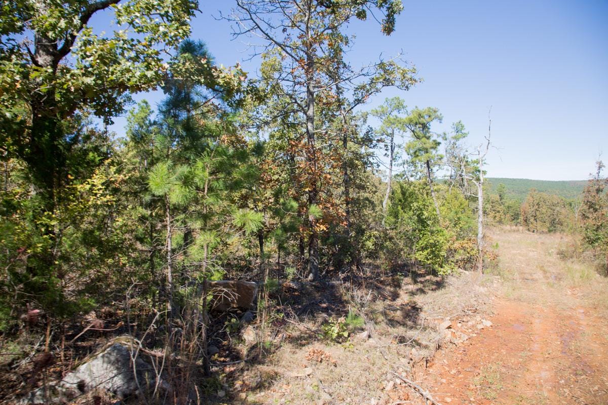 Stone Creek Phase I Tract 153 photo 3
