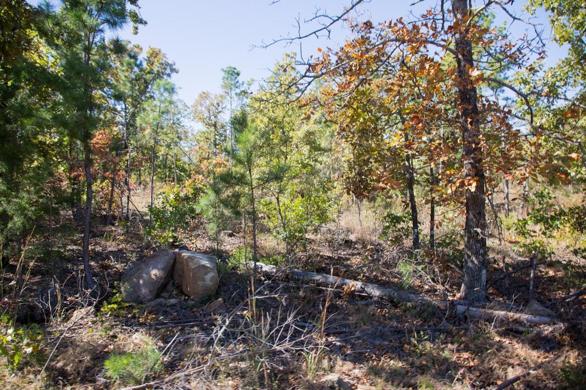 Stone Creek Phase I Tract 153 photo 4