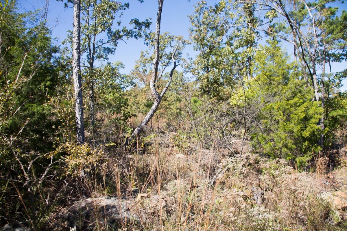 Stone Creek Phase I Tract 153 photo 5