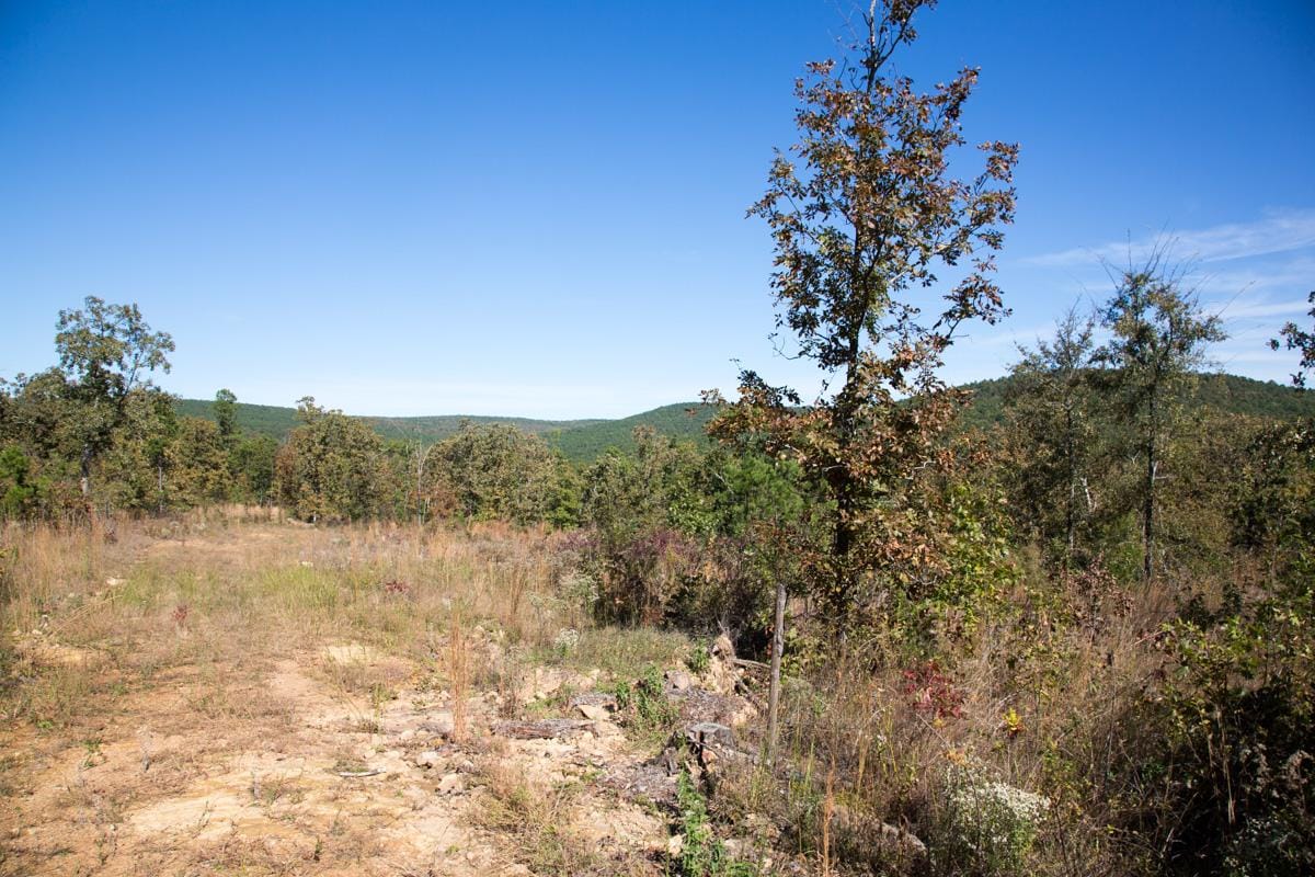 Stone Creek Phase I Tract 153 photo 6