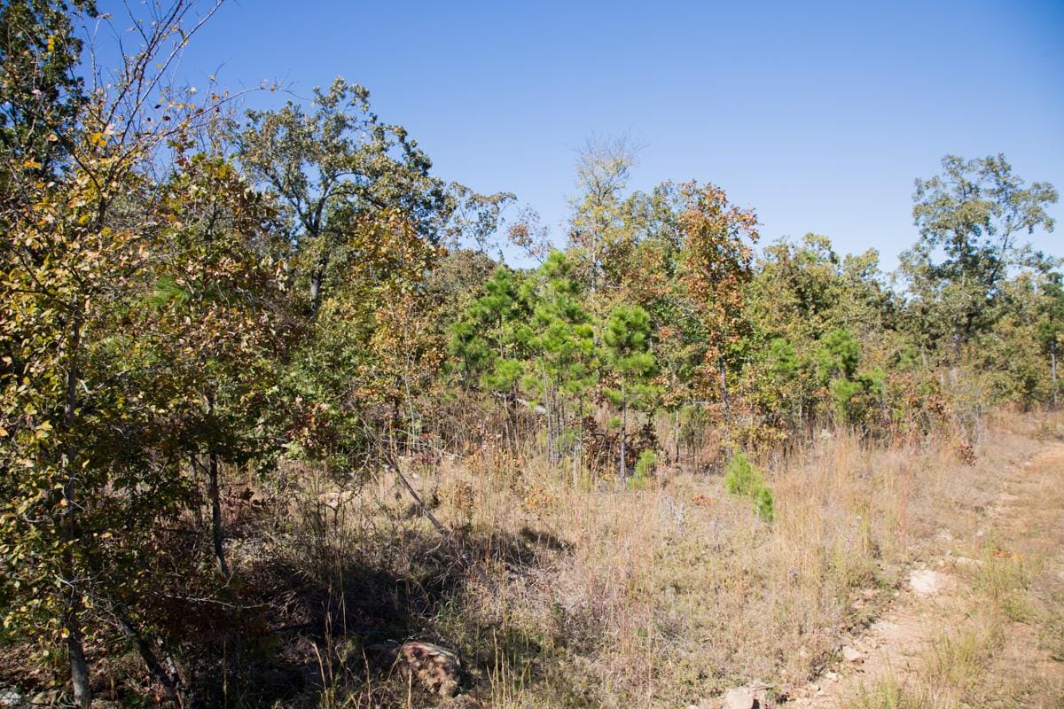 Stone Creek Phase I Tract 153 photo 7