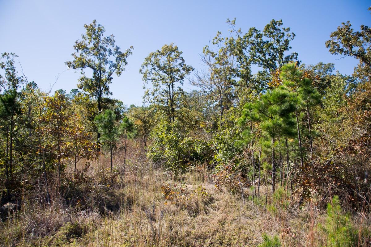 Stone Creek Phase I Tract 153 photo 8
