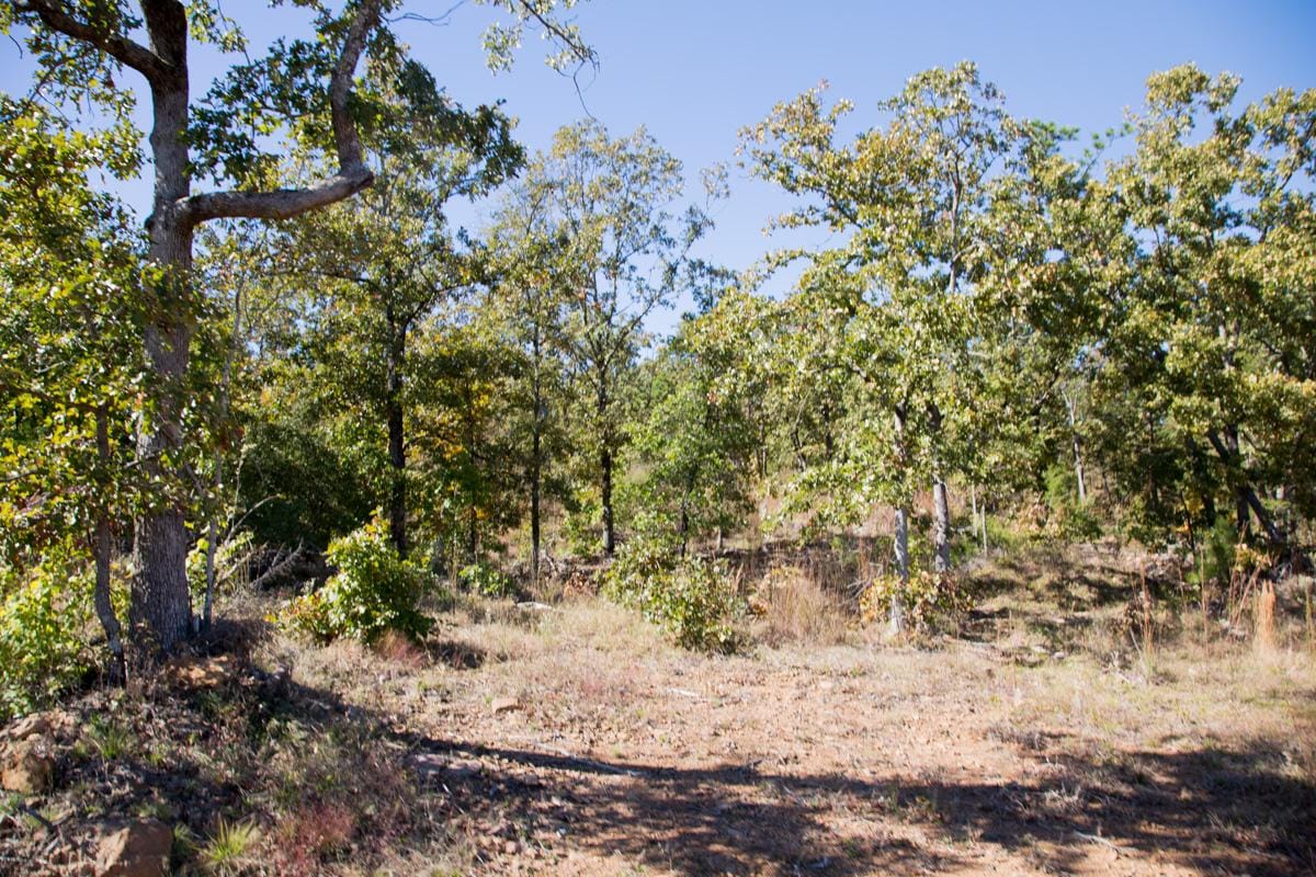 Stone Creek Phase I Tract 153 photo 9
