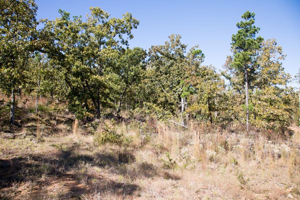 Stone Creek Phase I Tract 153 photo 10