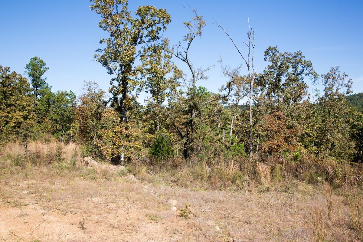 Stone Creek Phase I Tract 153 photo 11