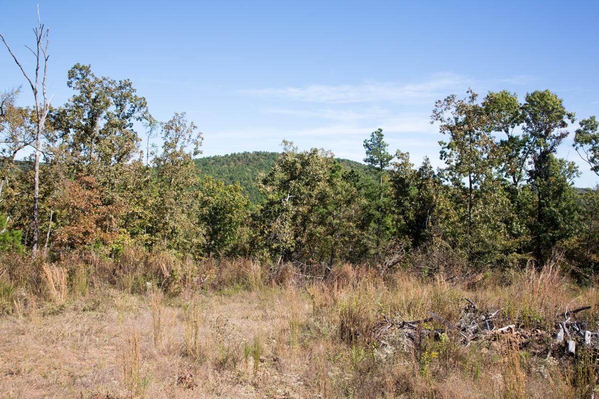 Stone Creek Phase I Tract 153 photo 12