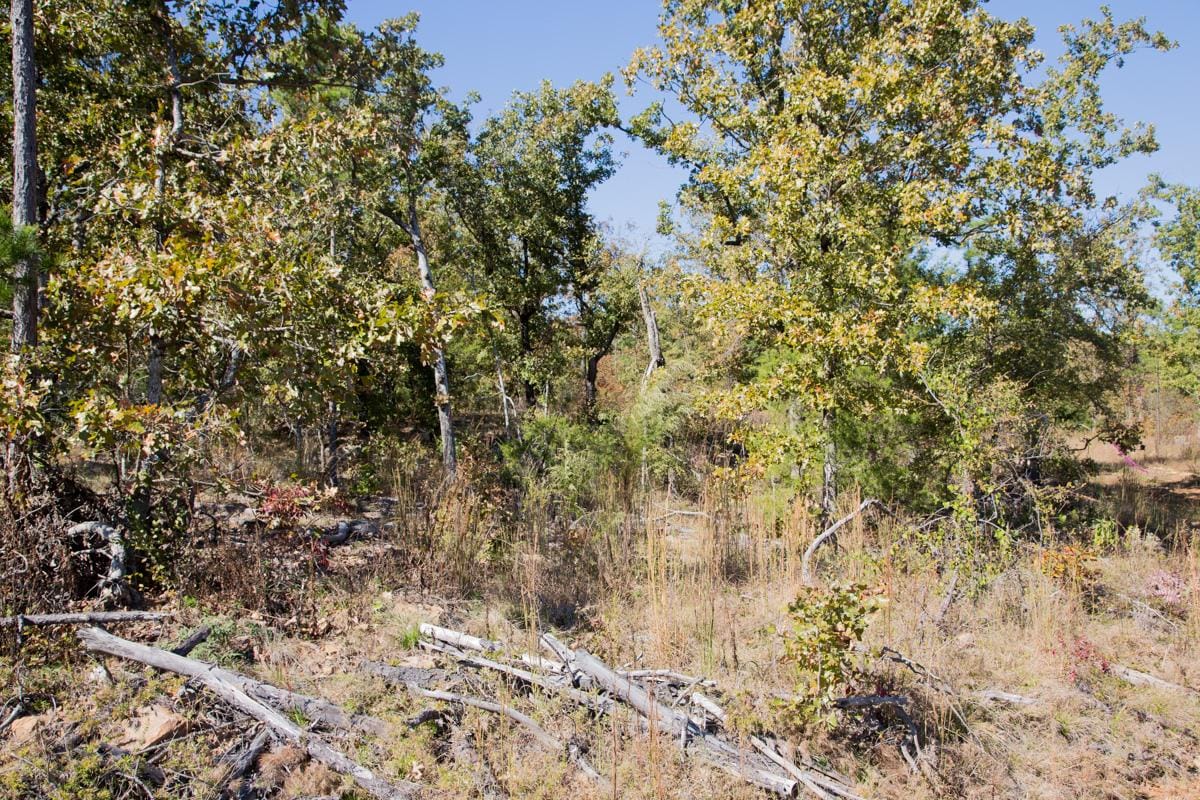 Stone Creek Phase I Tract 153 photo 13