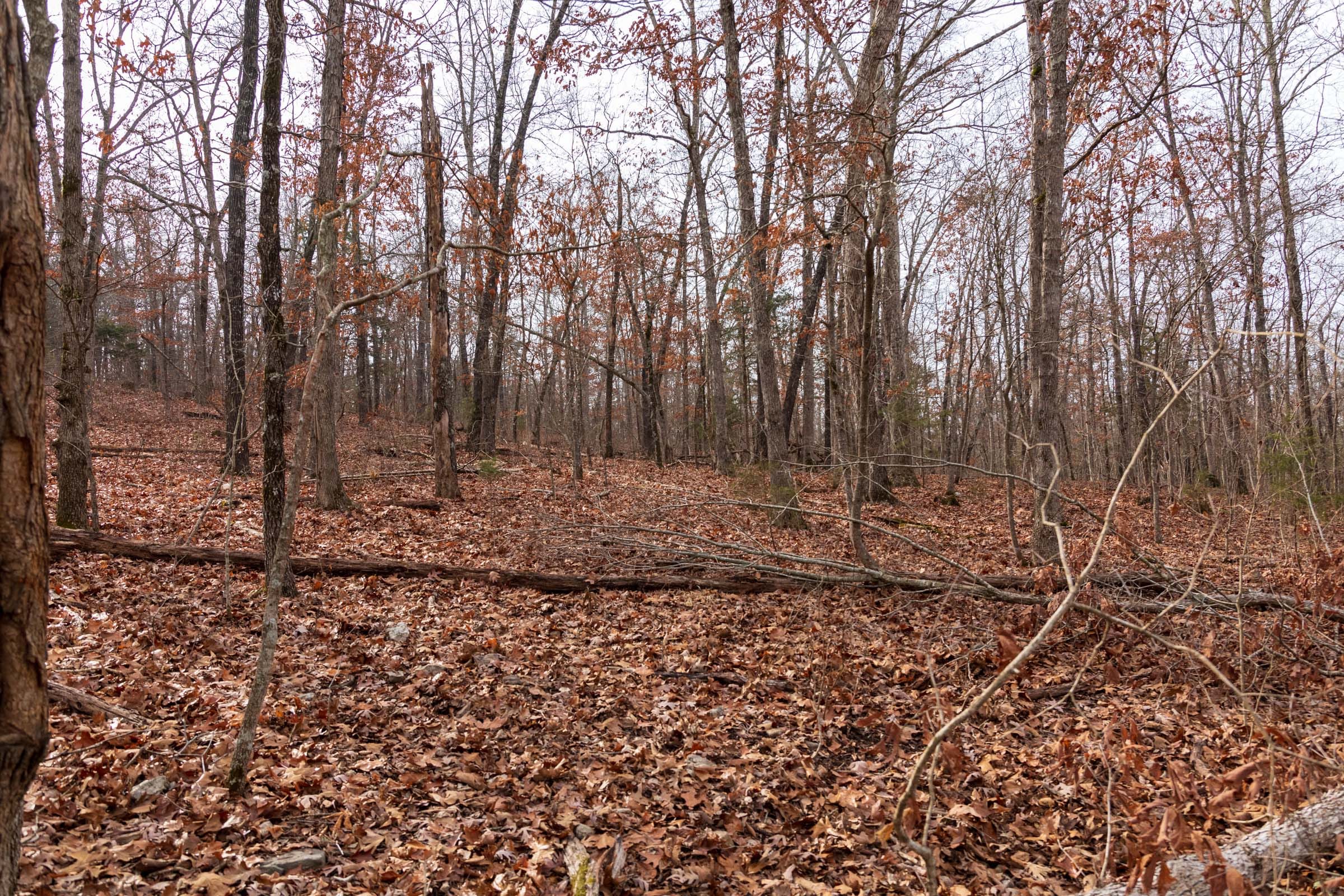 Crossroads Tract 28 photo 2