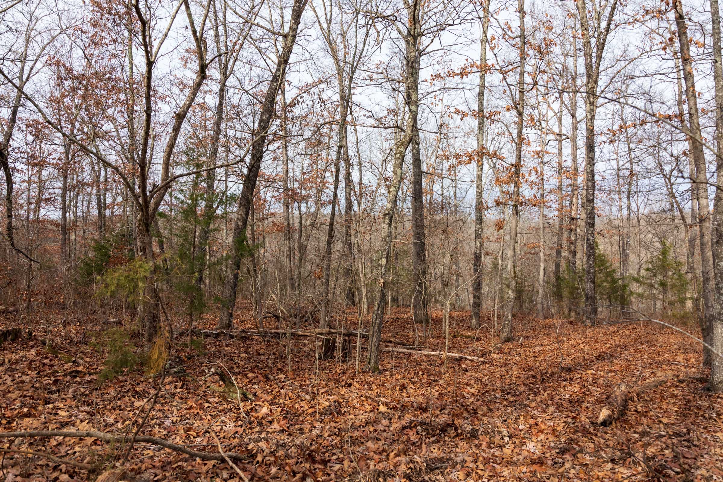 Crossroads Tract 28 photo 3