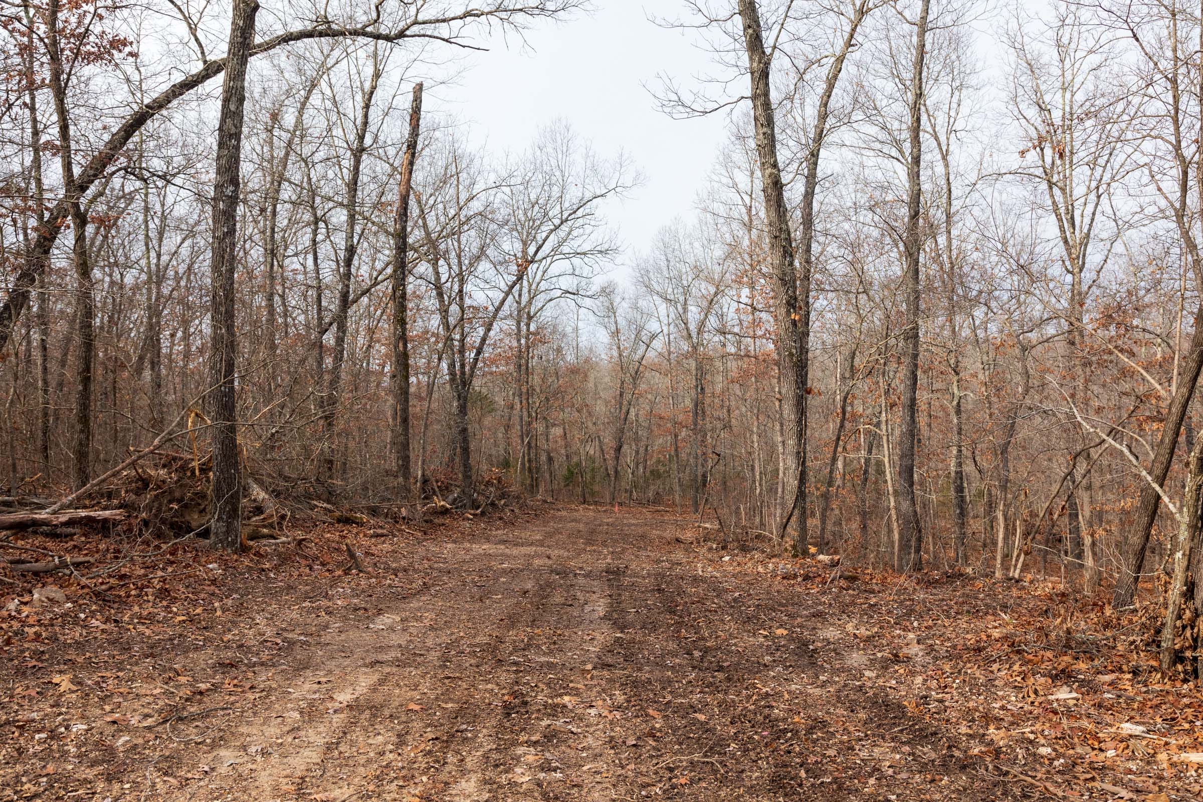 Crossroads Tract 28 photo 4