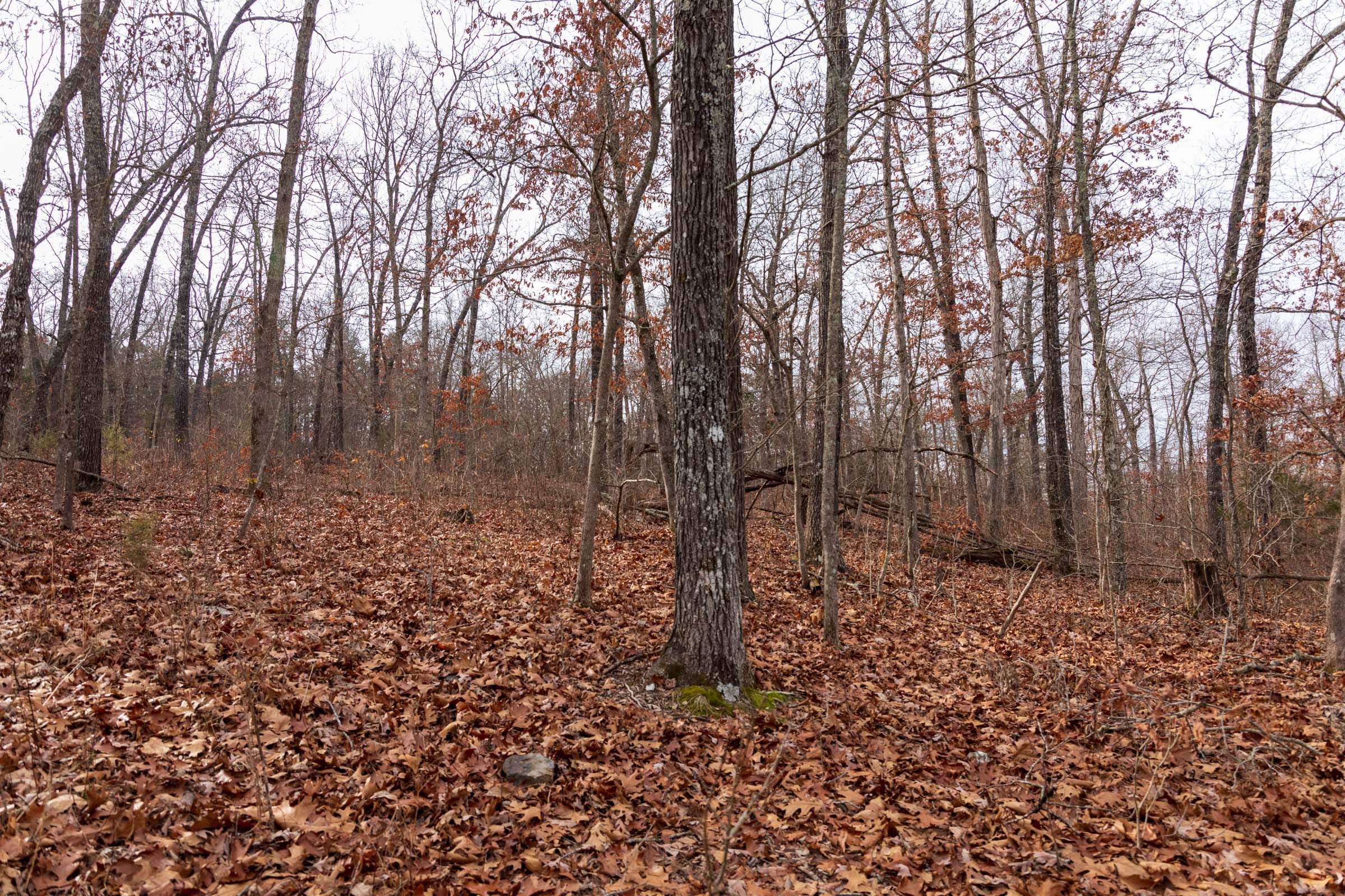 Crossroads Tract 28 photo 5