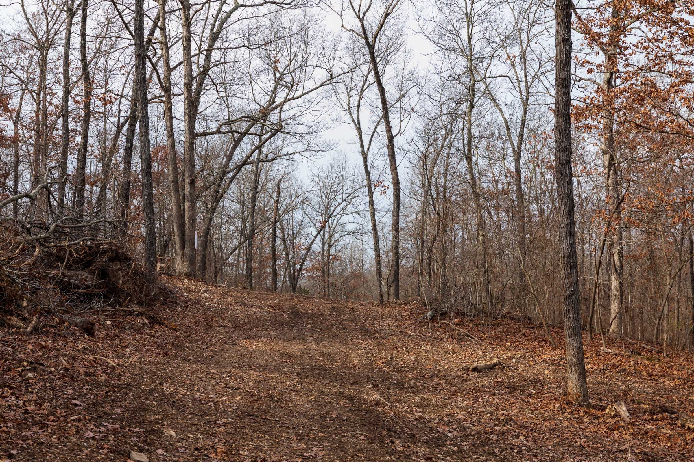 Crossroads Tract 28 photo 6