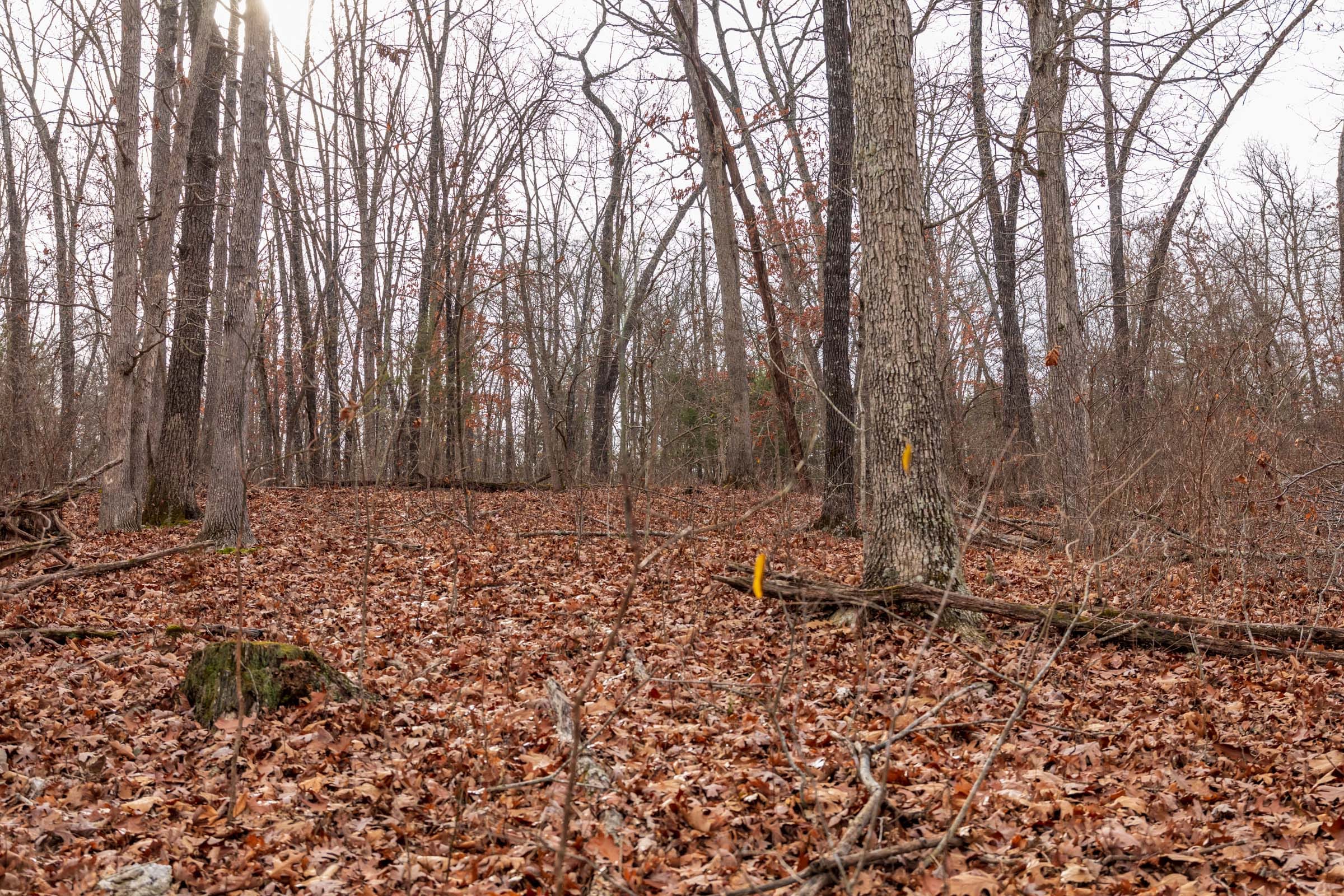 Crossroads Tract 28 photo 7