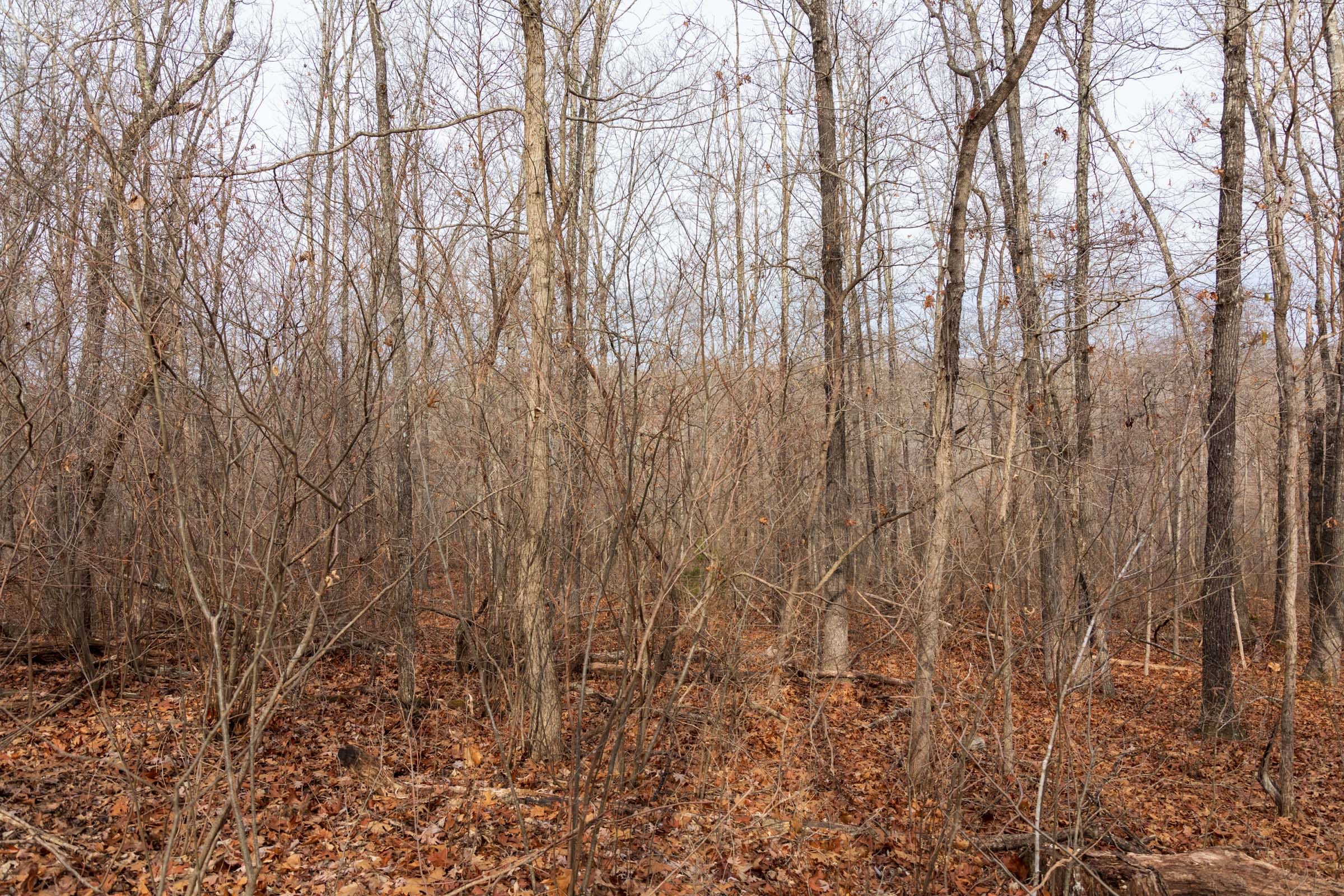 Crossroads Tract 28 photo 8