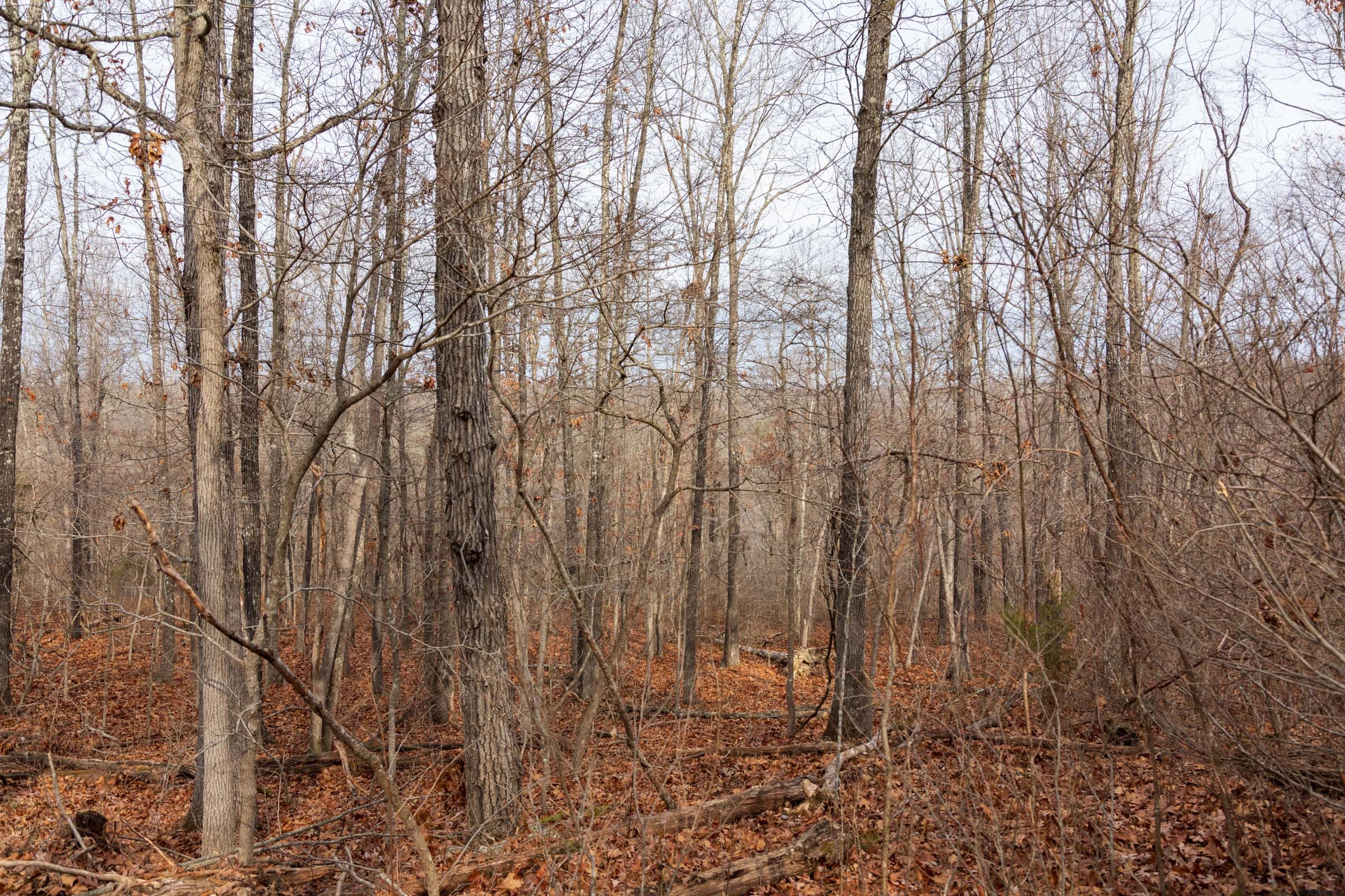 Crossroads Tract 28 photo 9