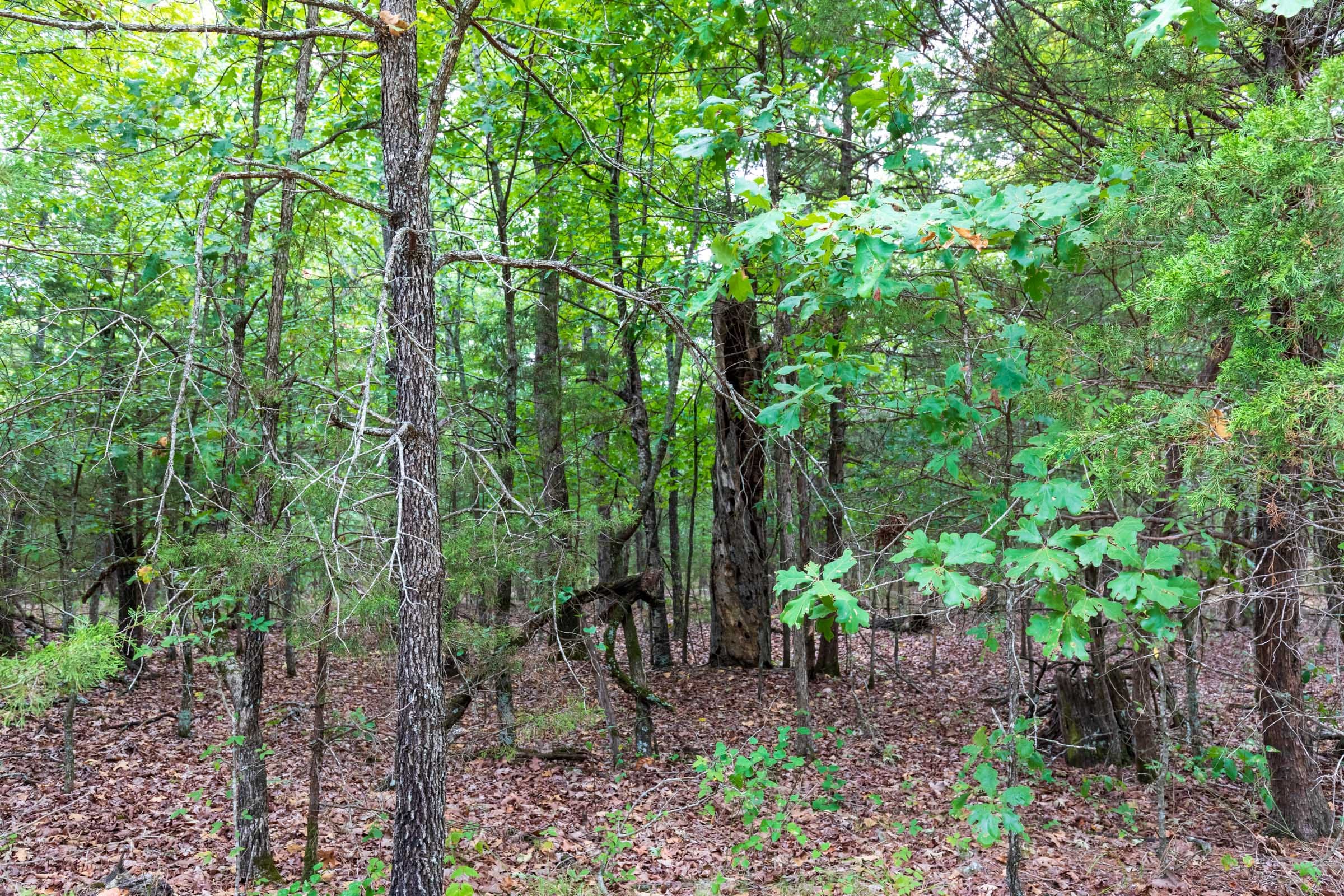 Heritage Bend Tract 37 photo 3