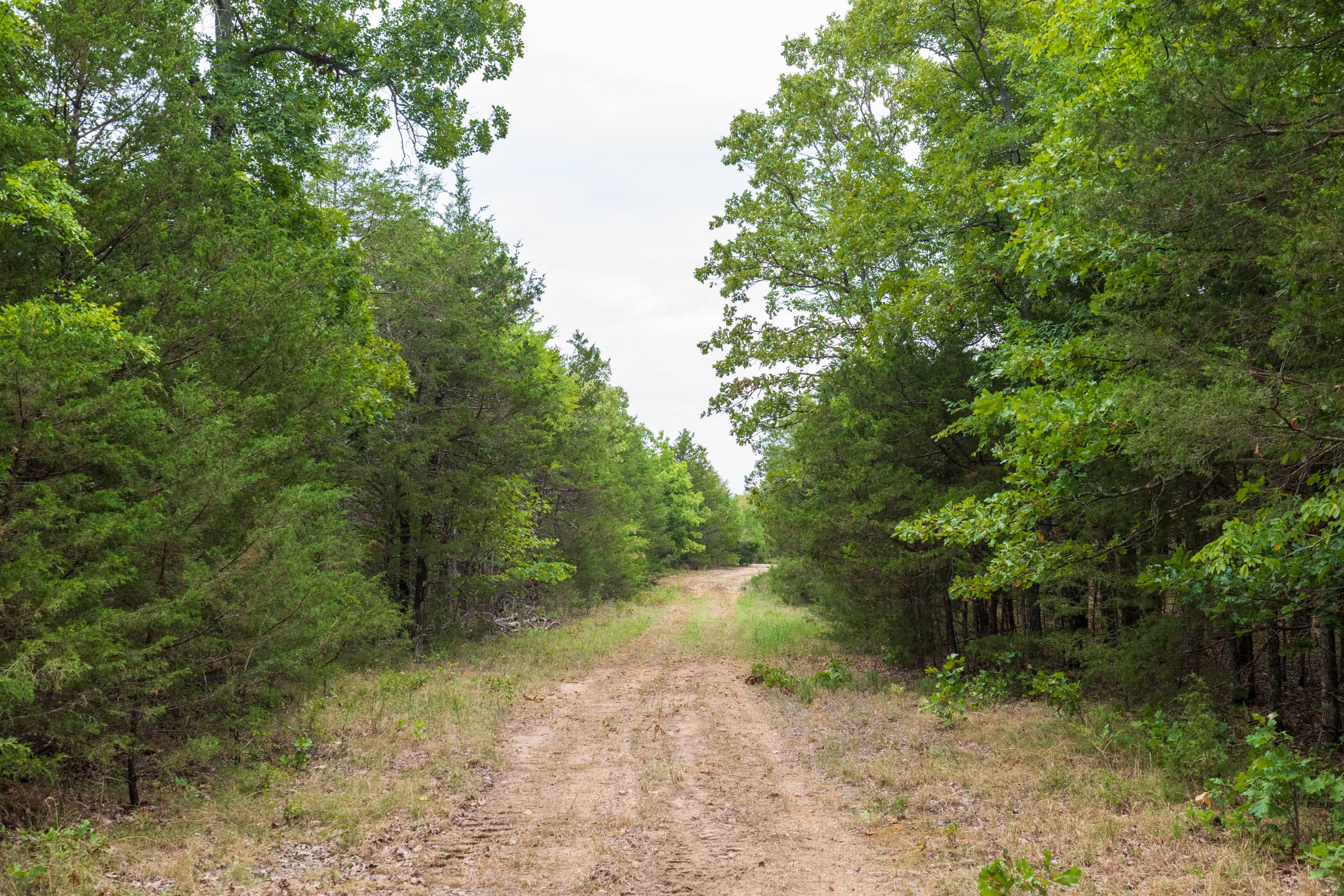 Heritage Bend Tract 37 photo 6