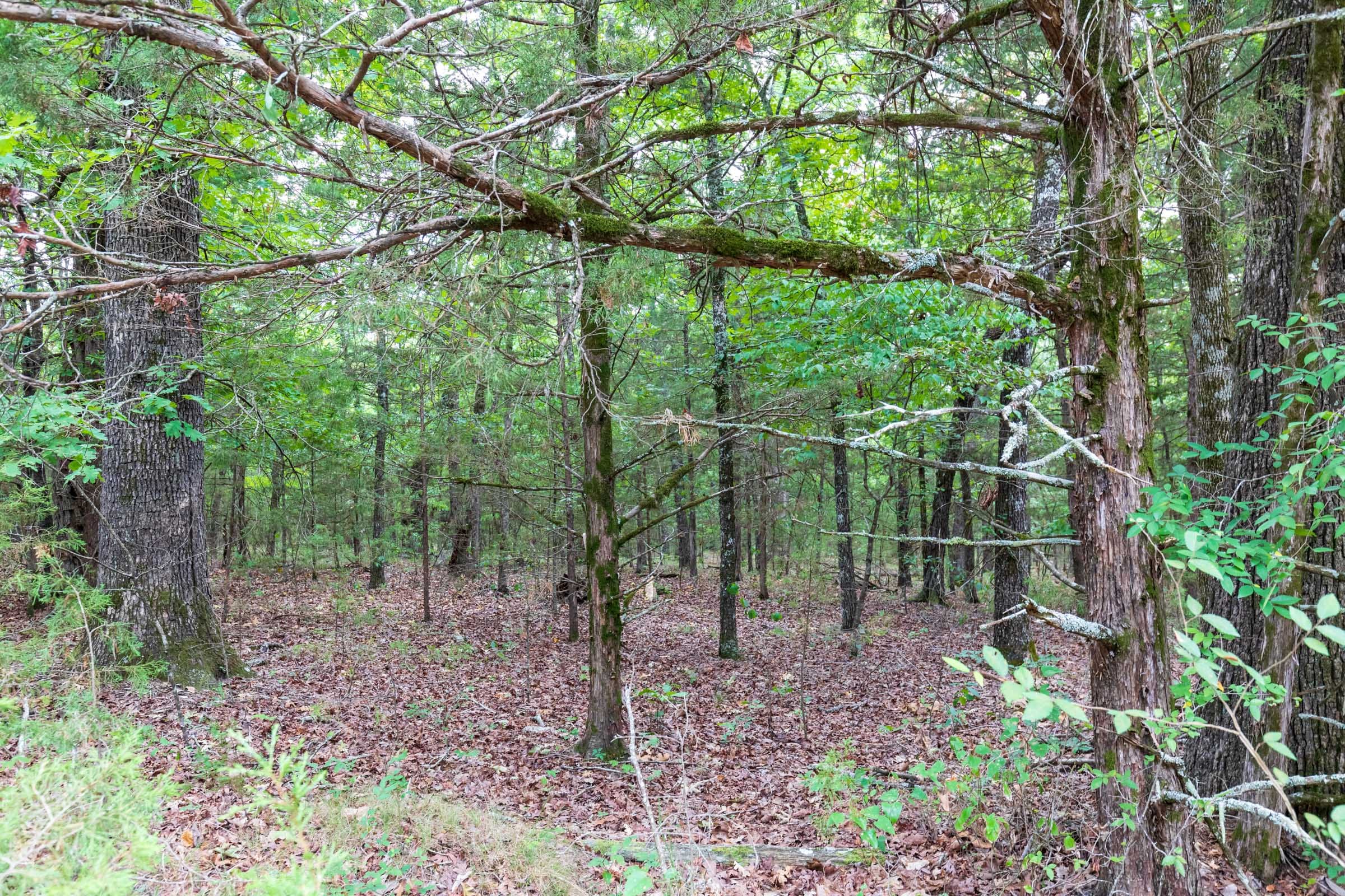 Heritage Bend Tract 37 photo 4
