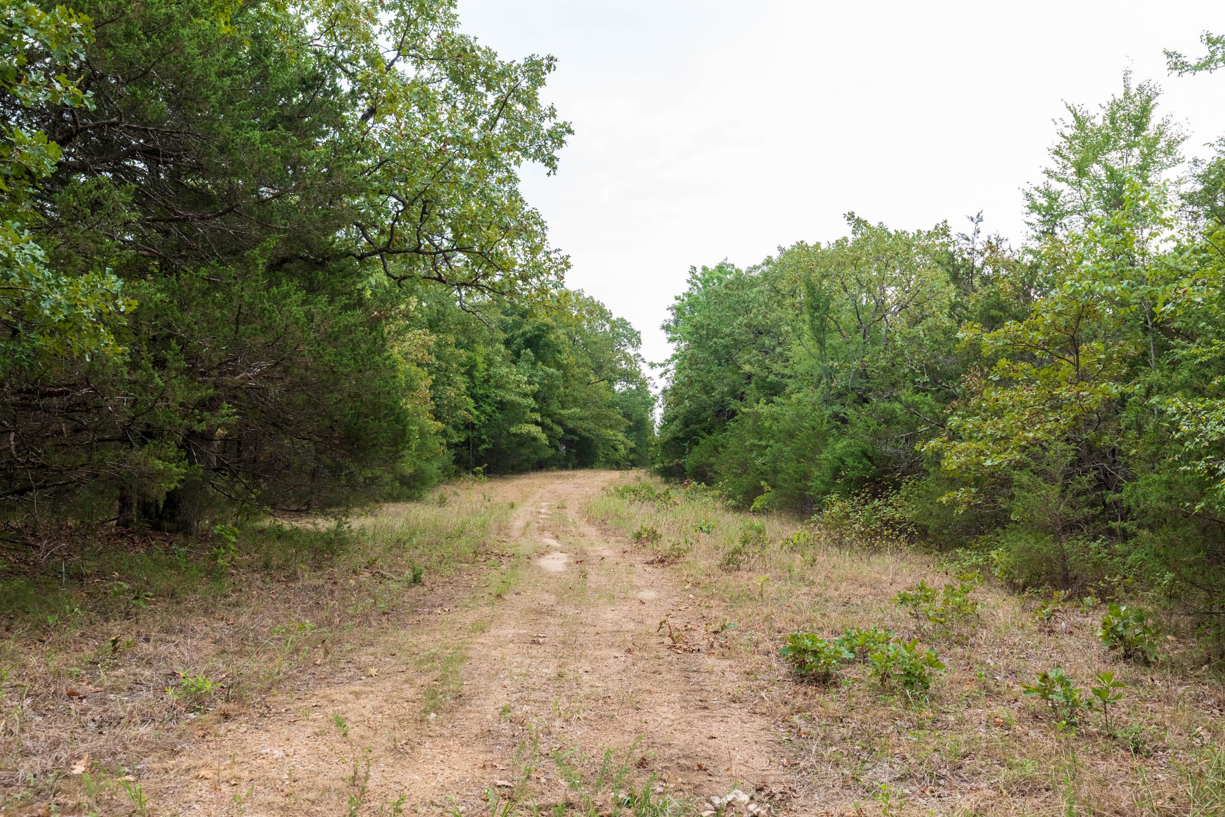 Heritage Bend Tract 37 photo 1