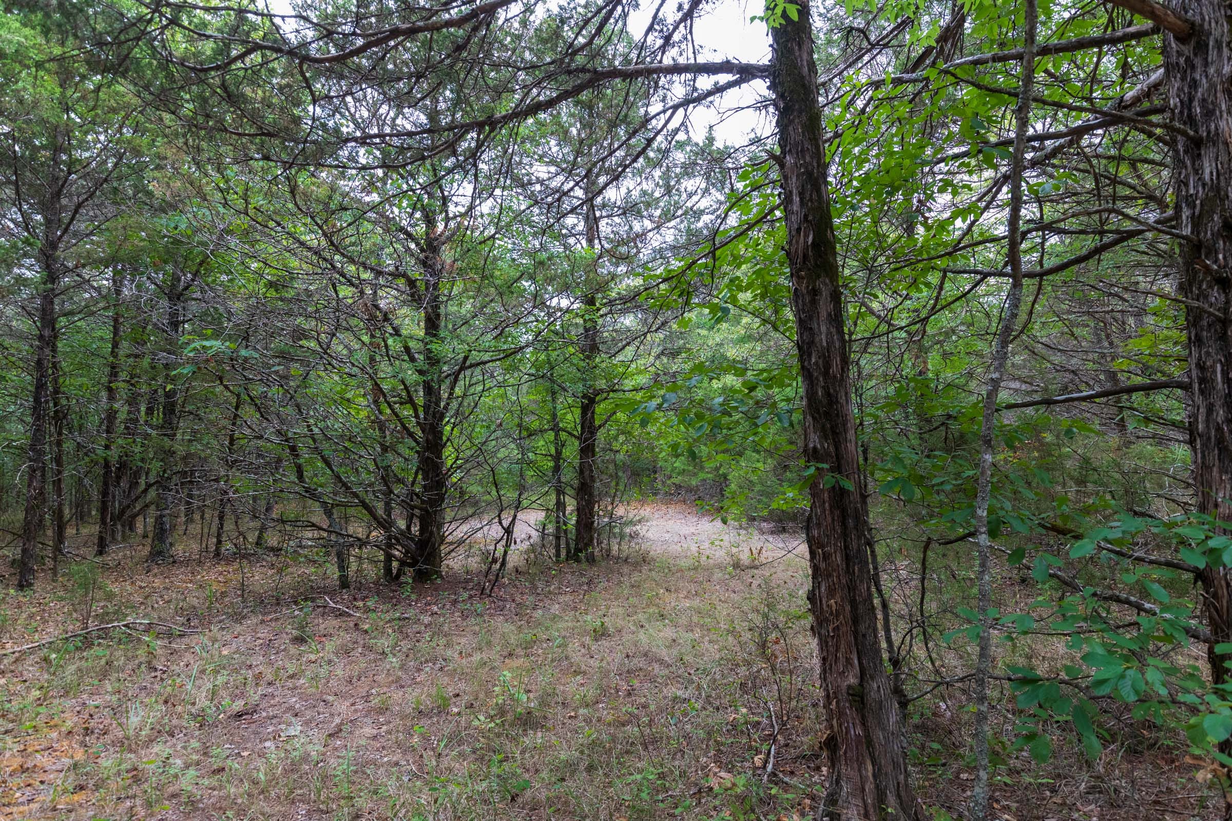 Heritage Bend Tract 37 photo 5