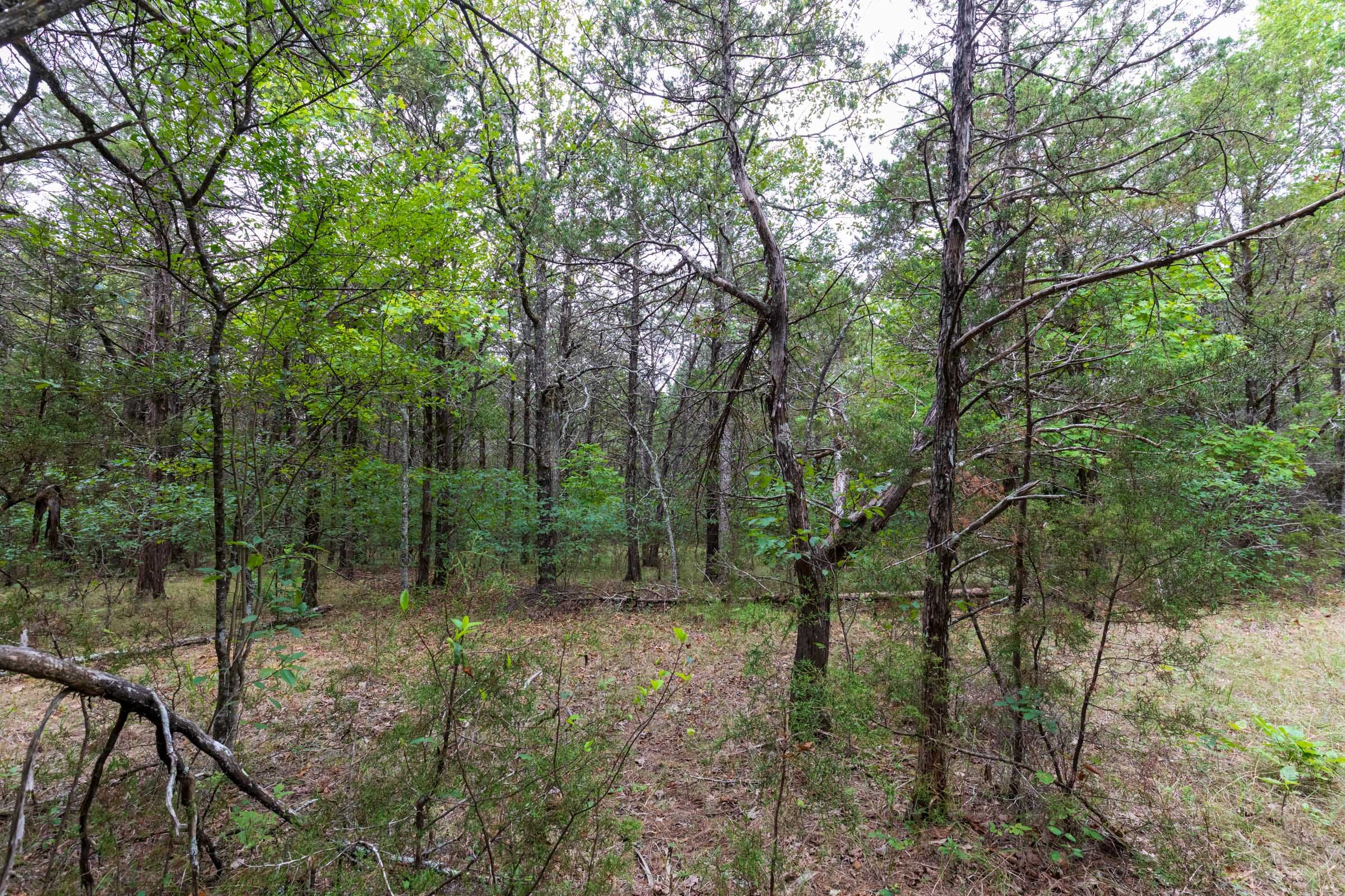 Heritage Bend Tract 37 photo 9