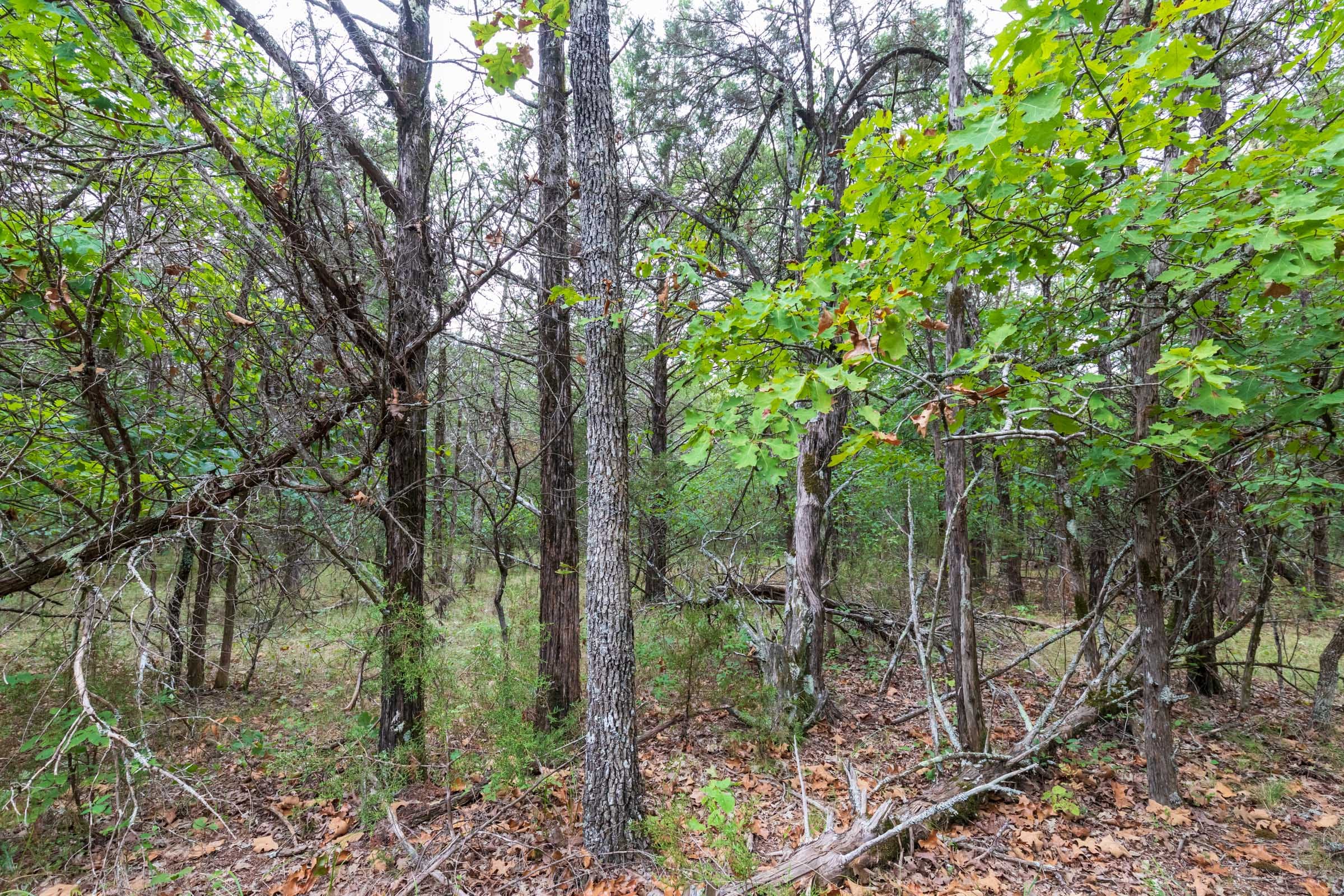 Heritage Bend Tract 37 photo 10