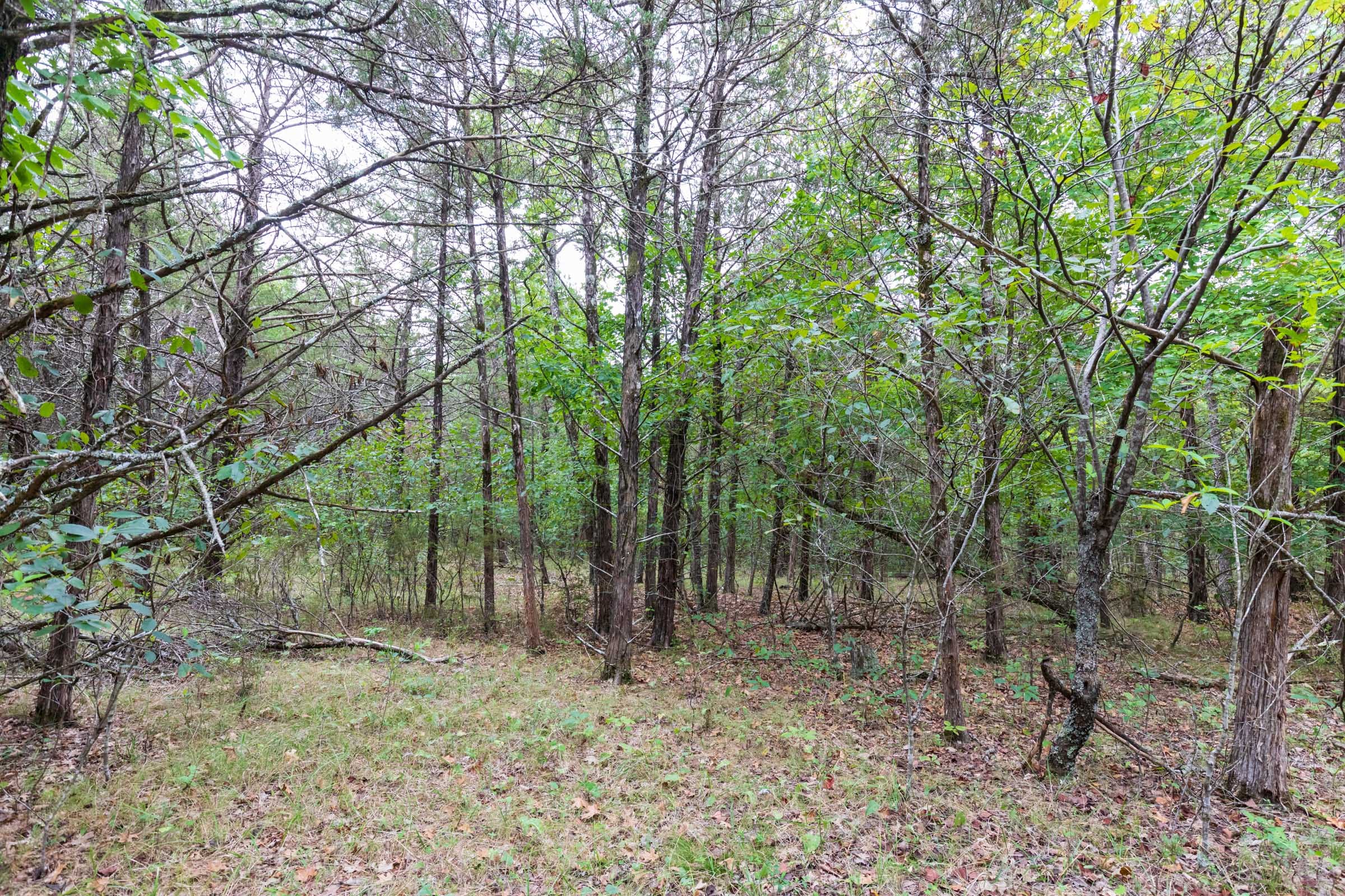 Heritage Bend Tract 37 photo 13