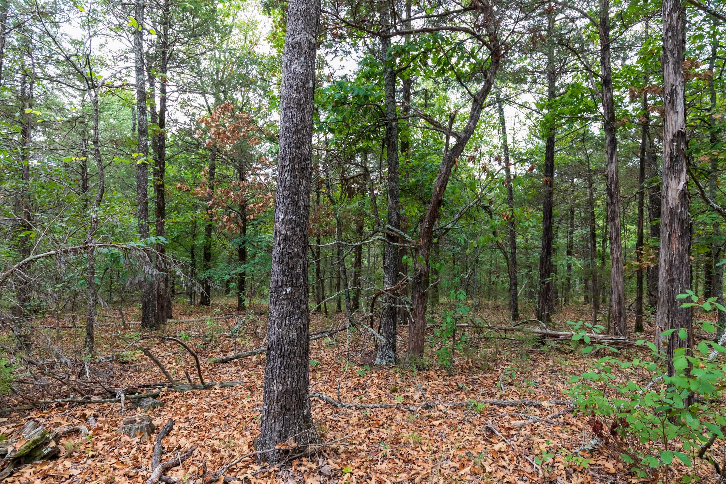 Heritage Bend Tract 37 photo 11