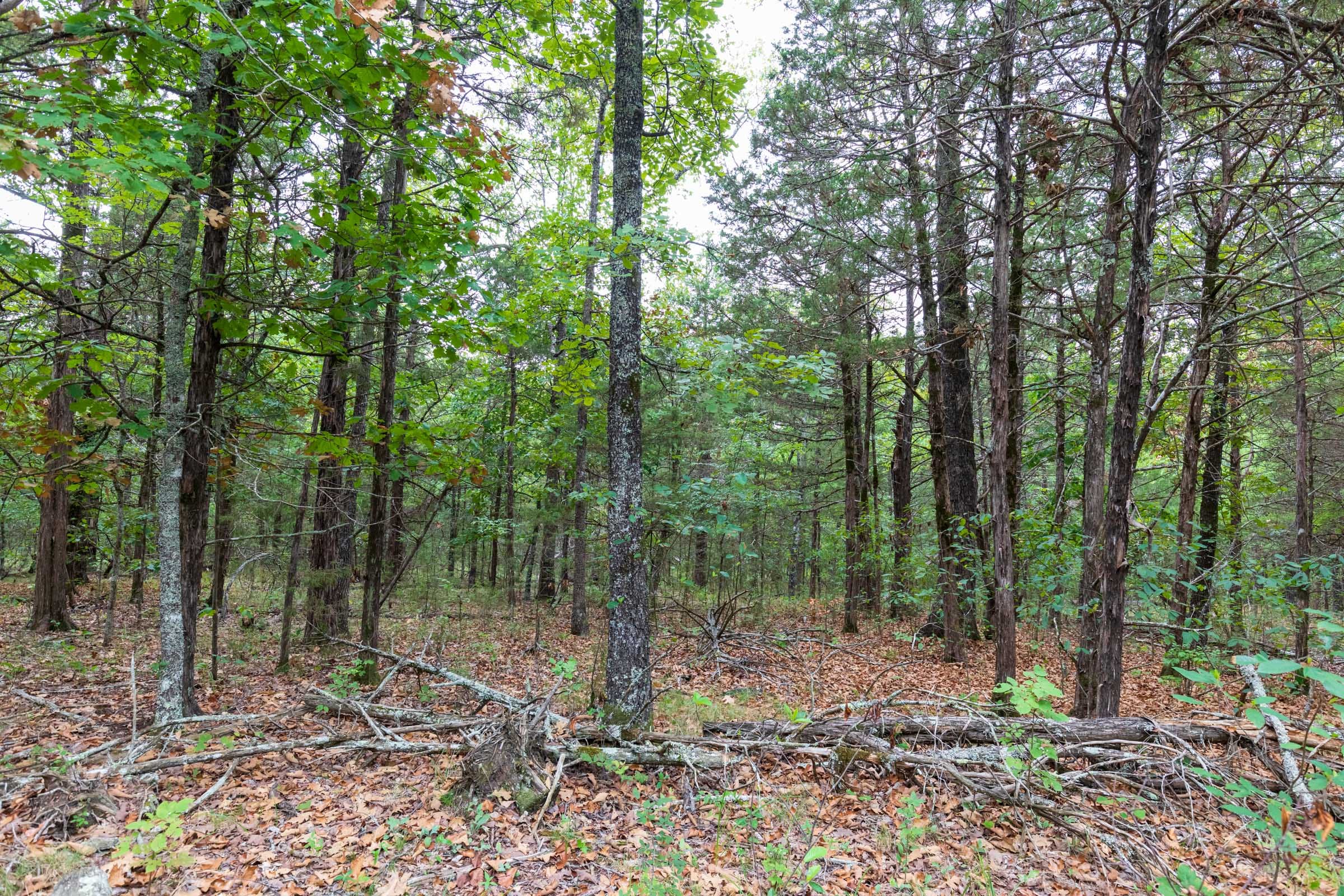 Heritage Bend Tract 37 photo 14
