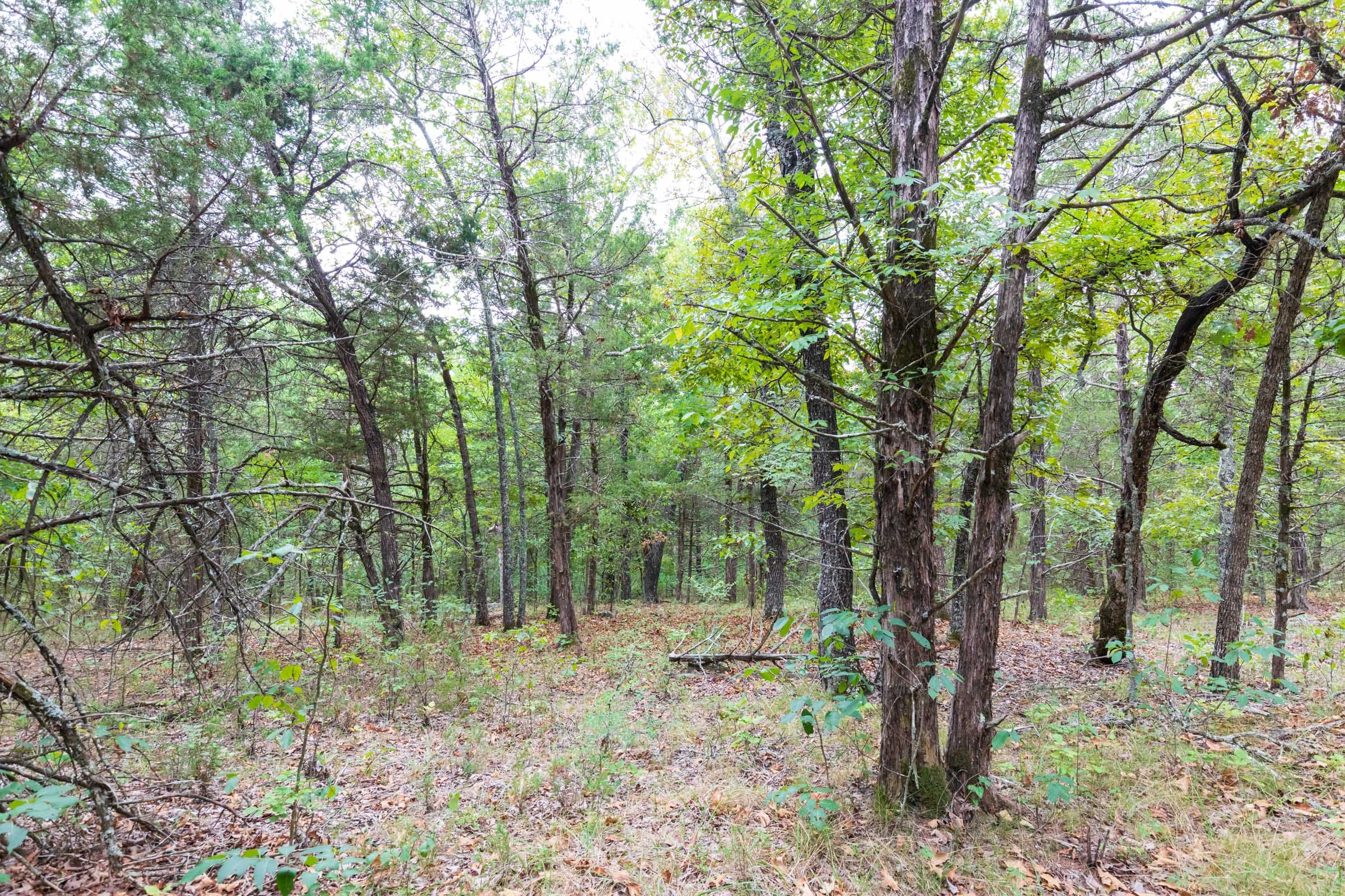 Heritage Bend Tract 37 photo 15