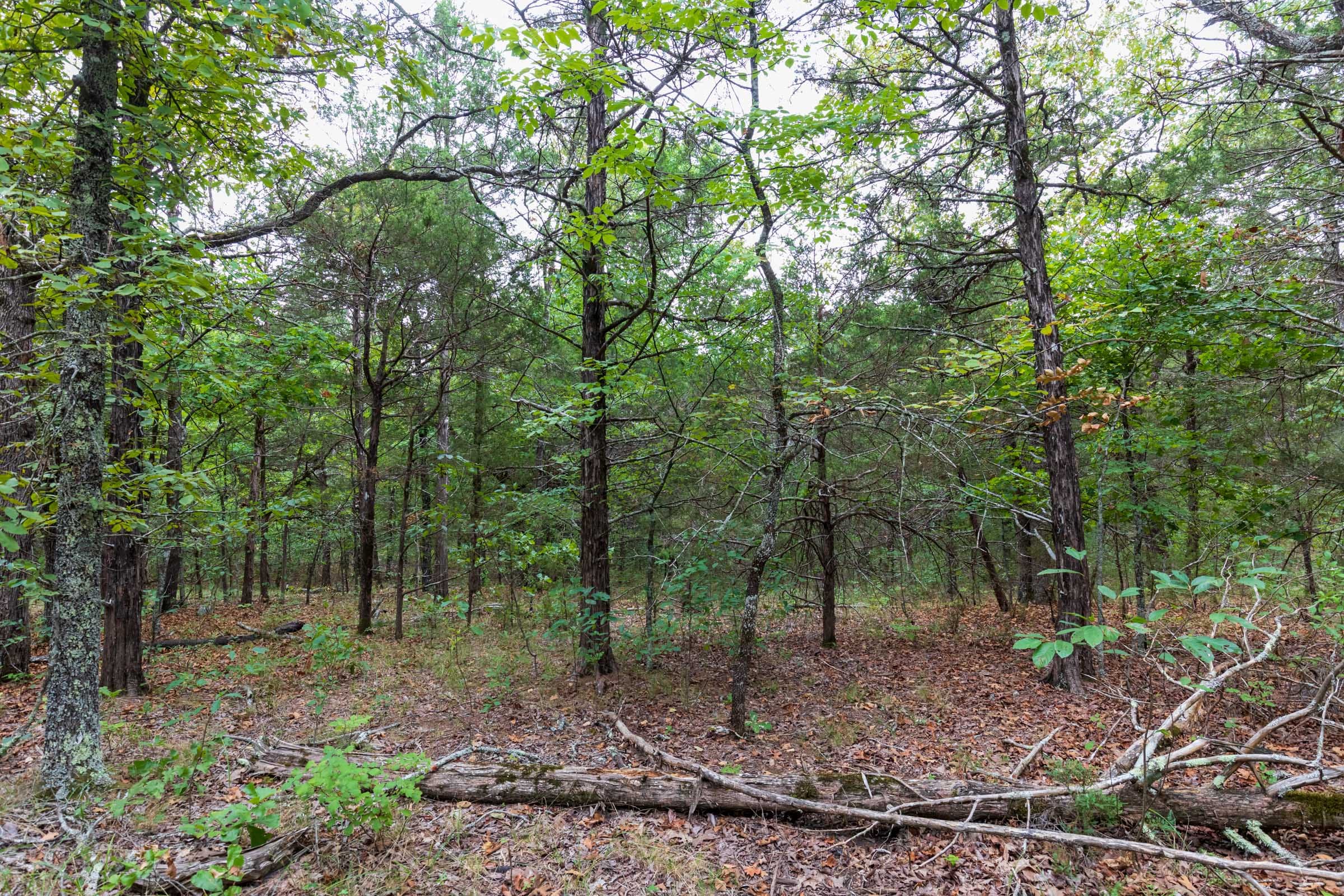 Heritage Bend Tract 37 photo 16