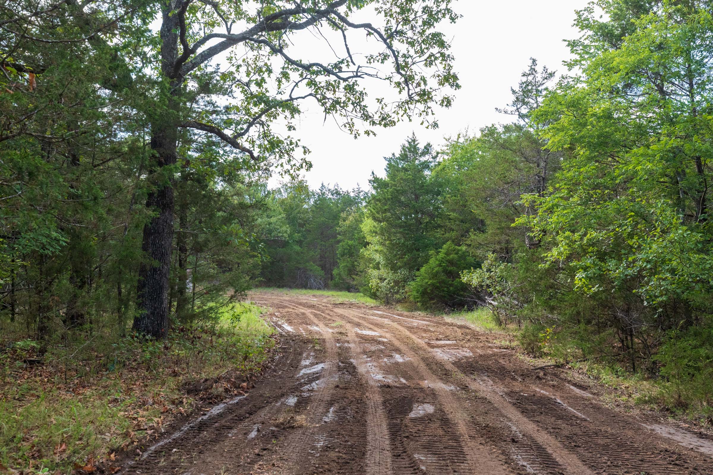 Heritage Bend Tract 37 photo 12