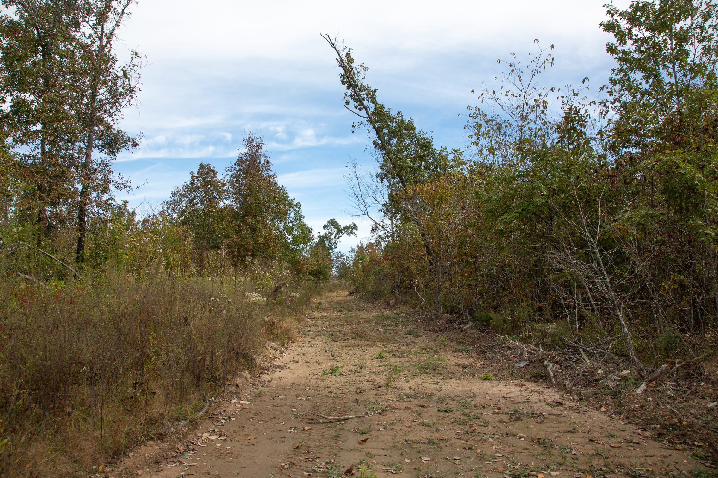 Borgmann’s Hollow Phase IV Tract 123 photo 1