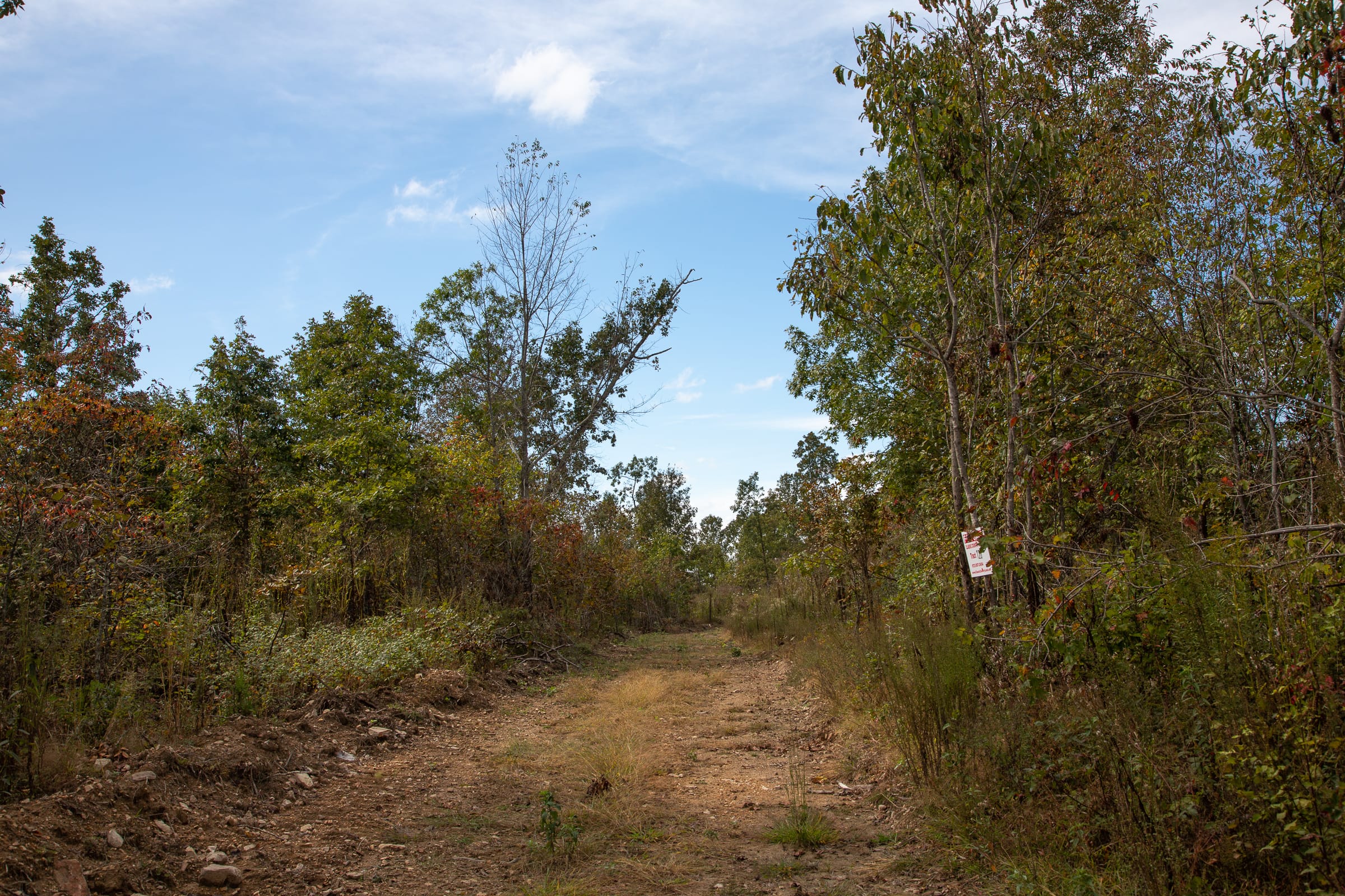 Borgmann’s Hollow Phase IV Tract 123 photo 6