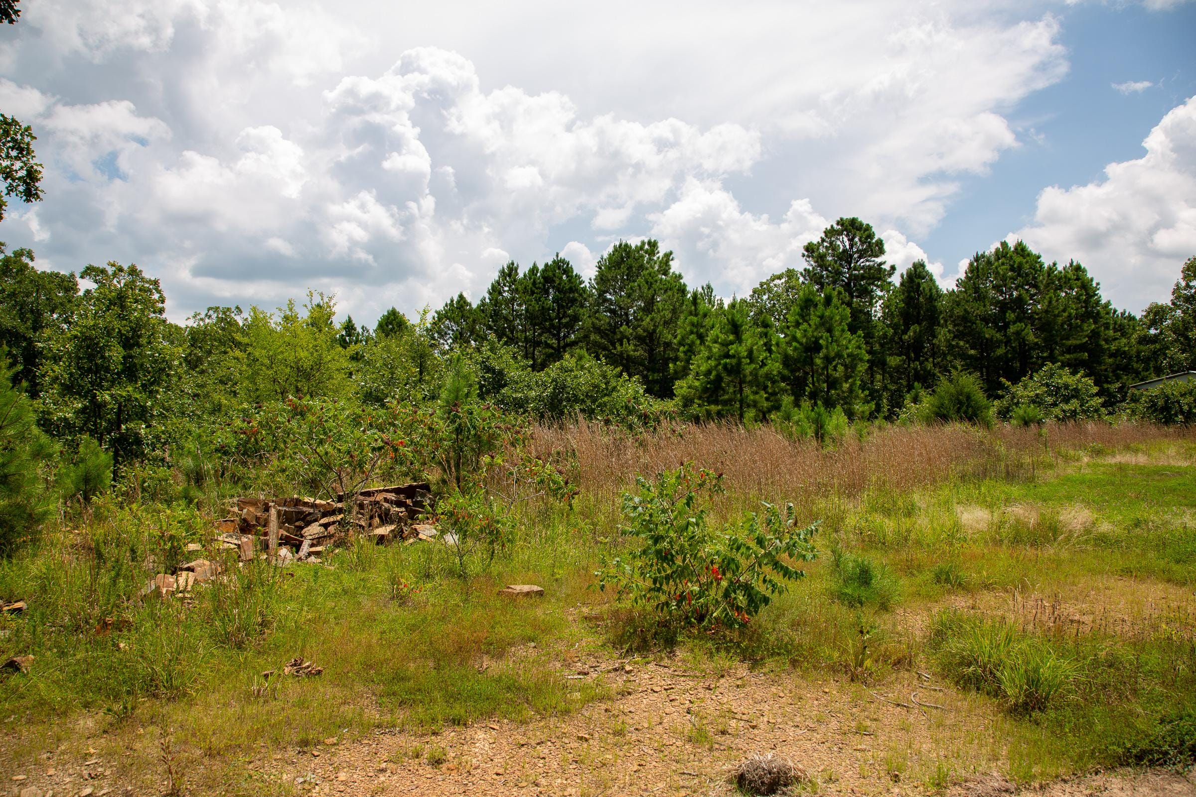 Tyler Stone Ranch Tract 17 photo 3