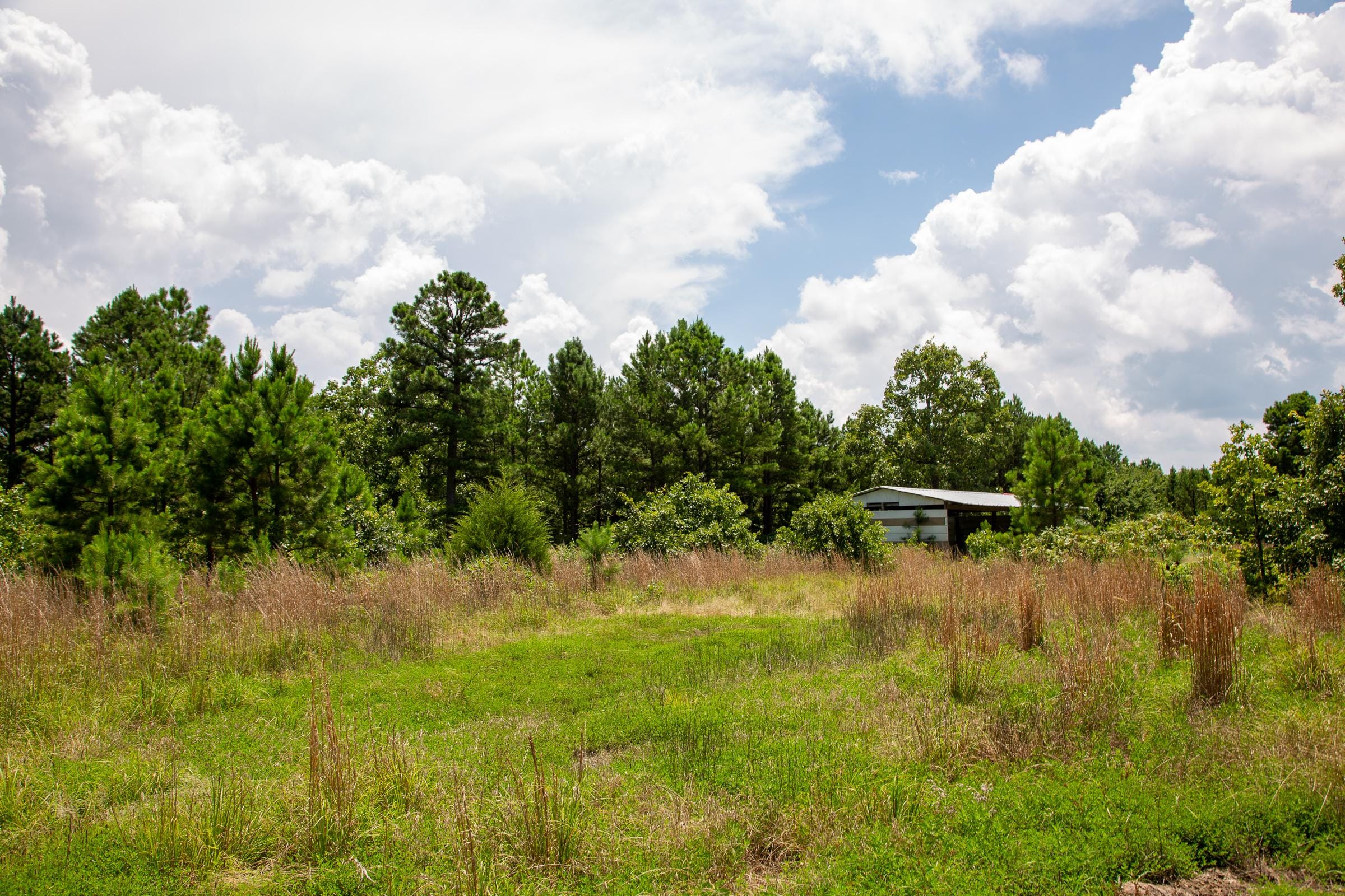 Tyler Stone Ranch Tract 17 photo 4