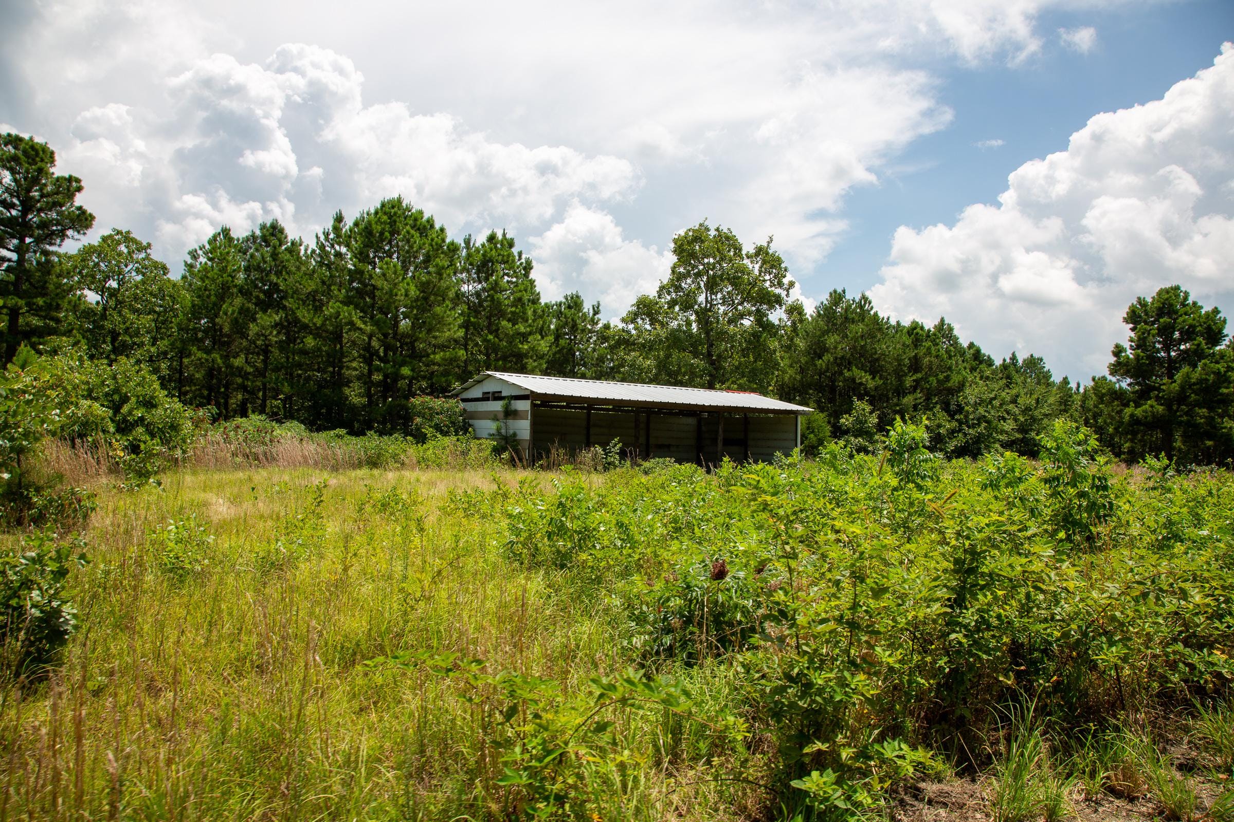 Tyler Stone Ranch Tract 17 photo 5