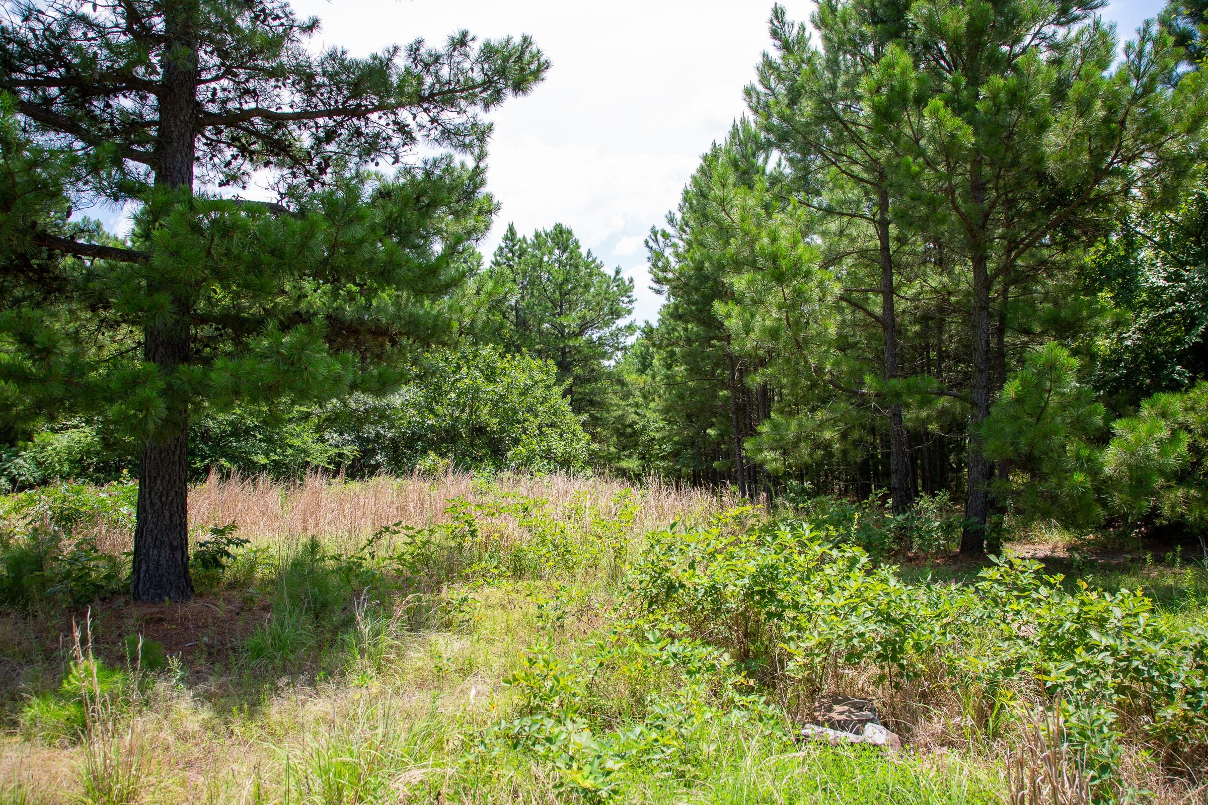 Tyler Stone Ranch Tract 17 photo 7